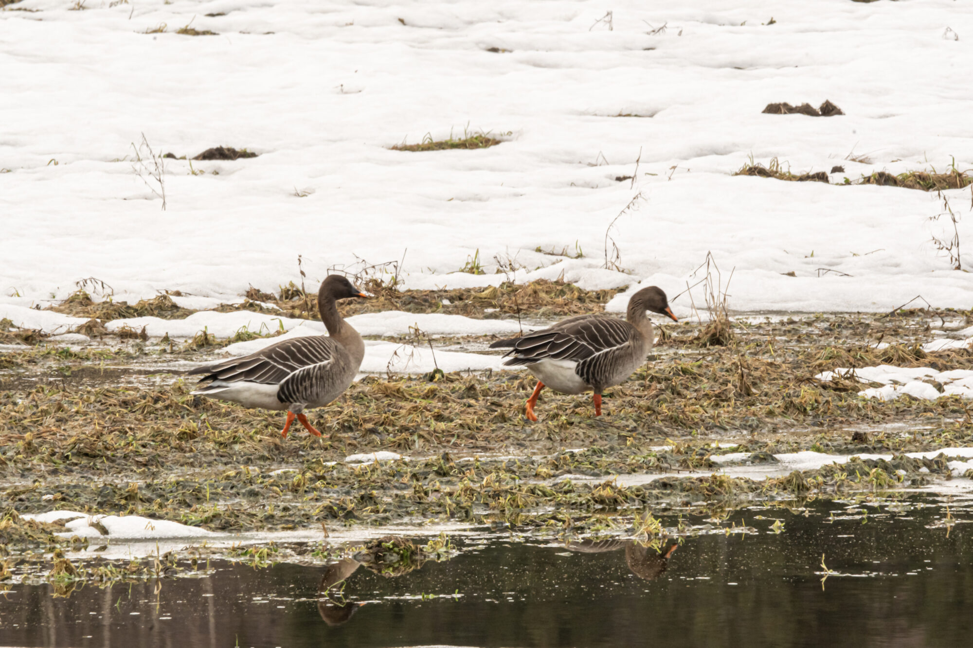 Valokuvaaja: Leena Rissanen