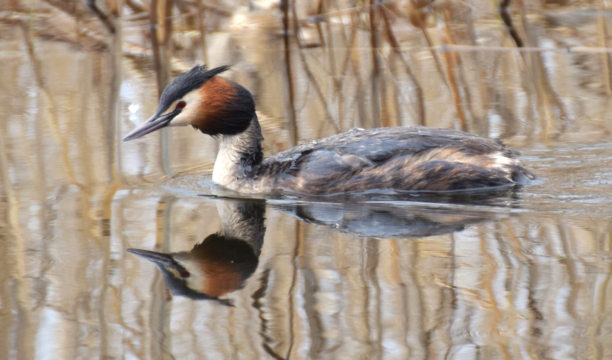 Valokuvaaja: Tuomo Nordlund