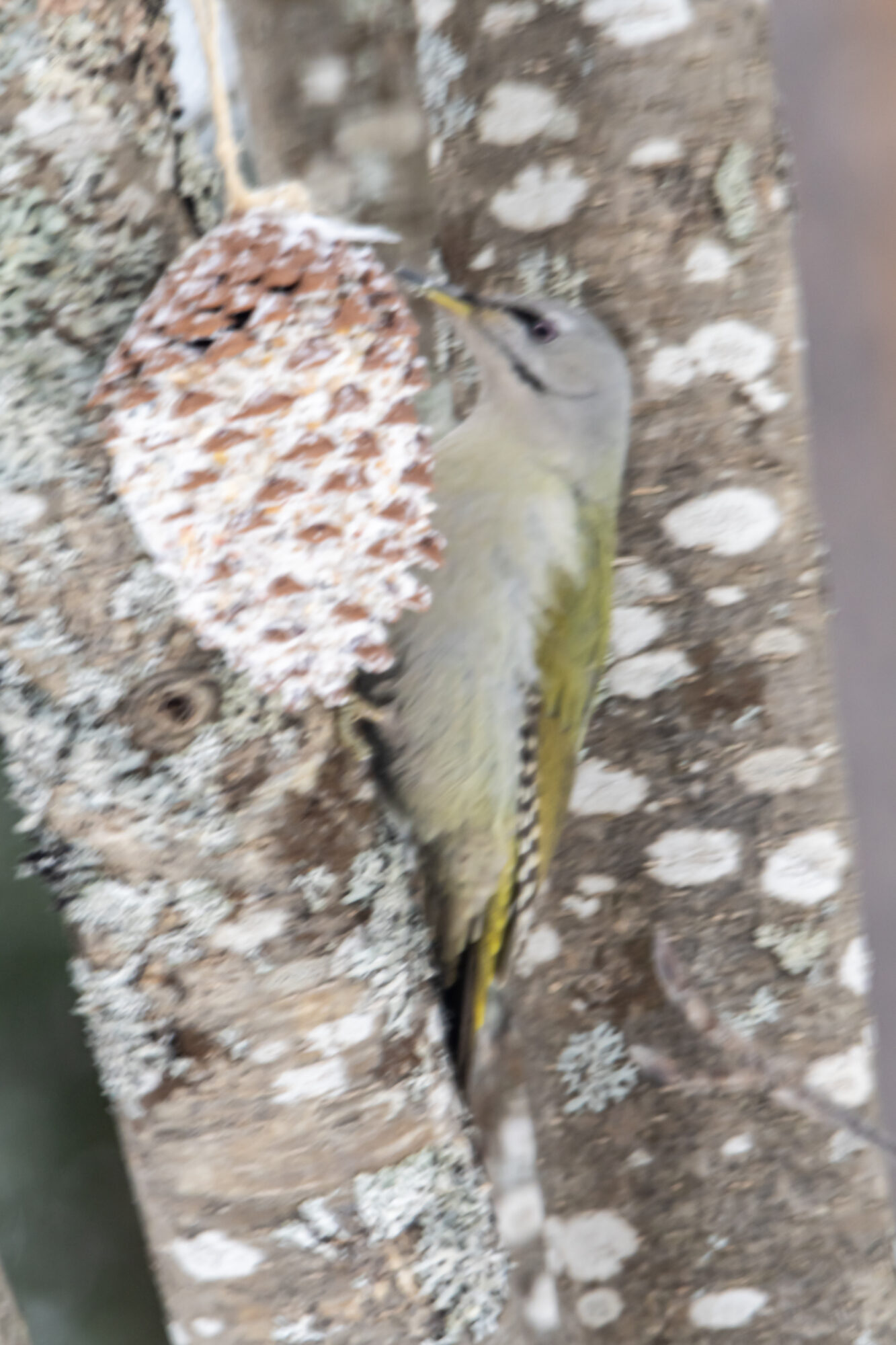 Valokuvaaja: Leena Rissanen