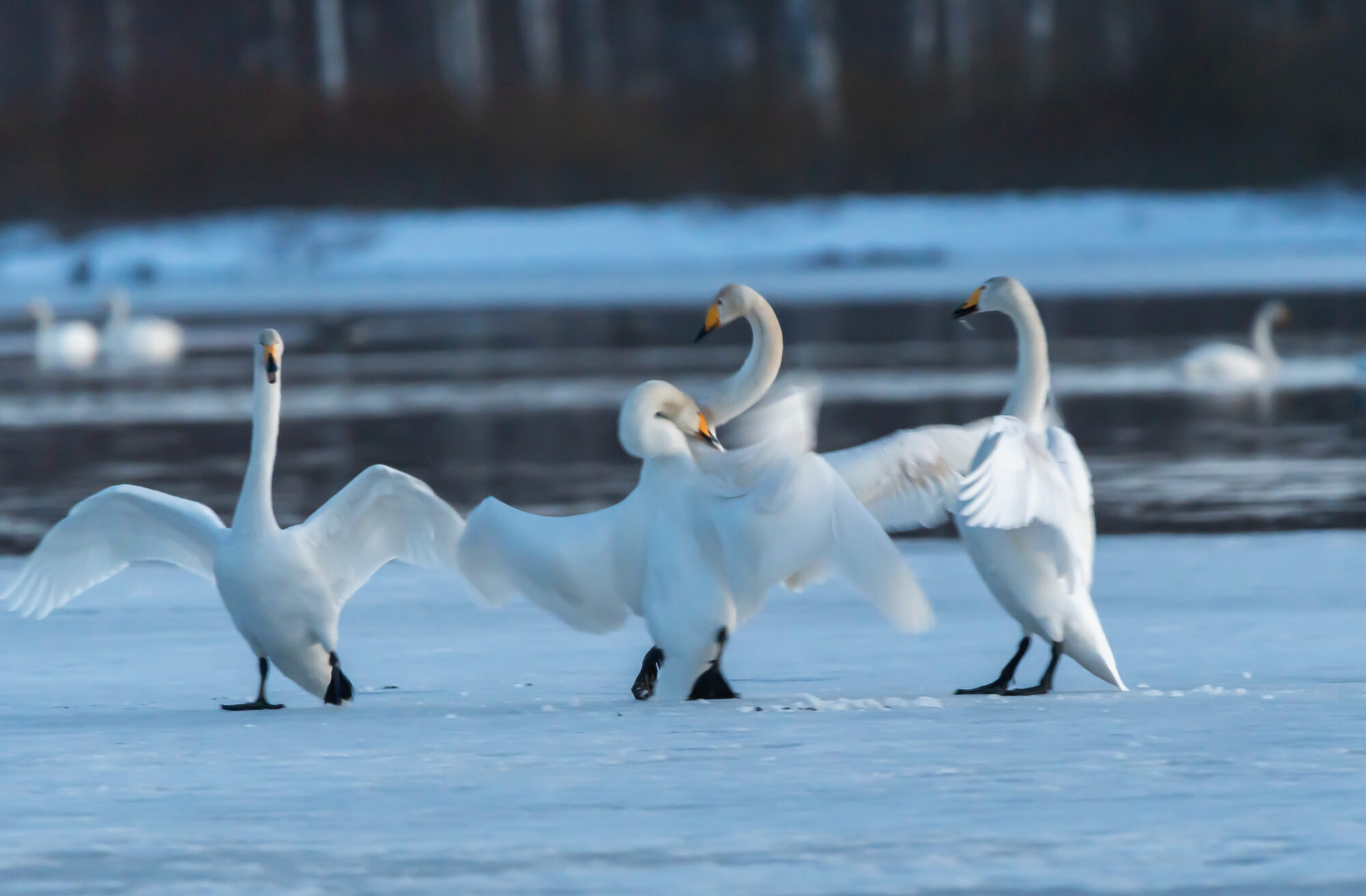 Valokuvaaja: Leena Rissanen