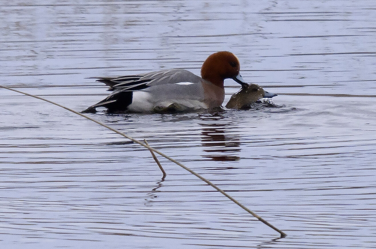 Valokuvaaja: Matti Manninen