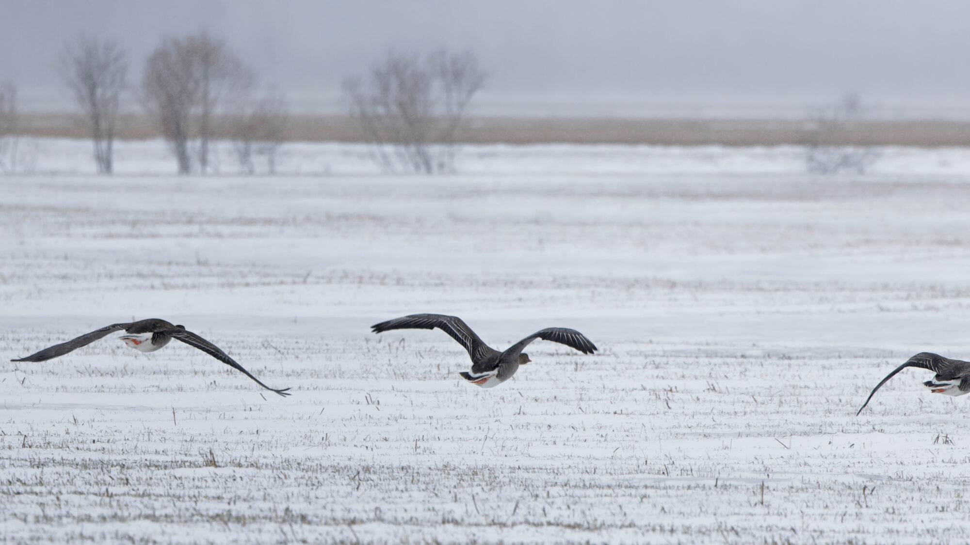 Valokuvaaja: TOMMI KUJALA
