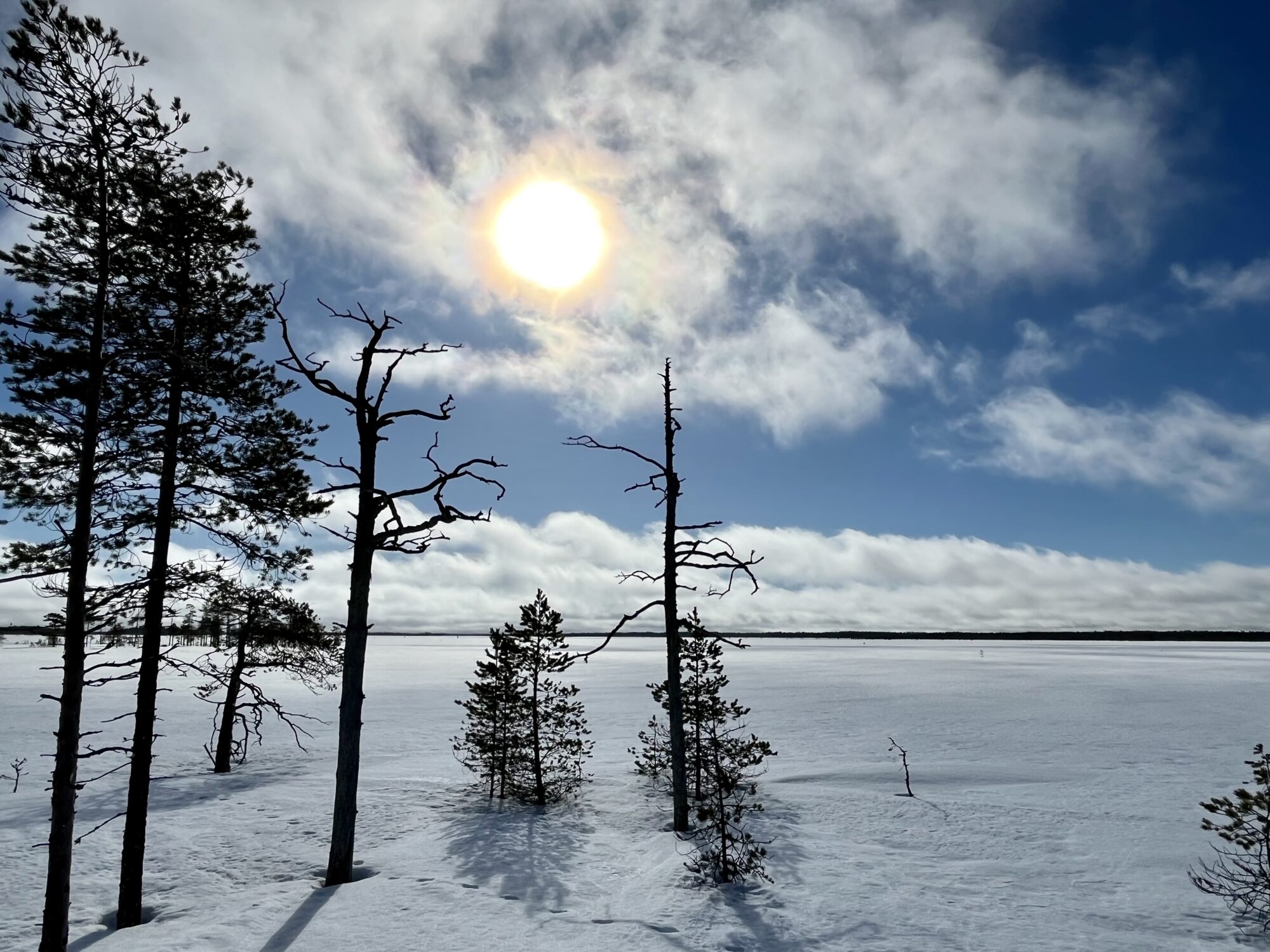 Valokuvaaja: Tuukka Pahtamaa