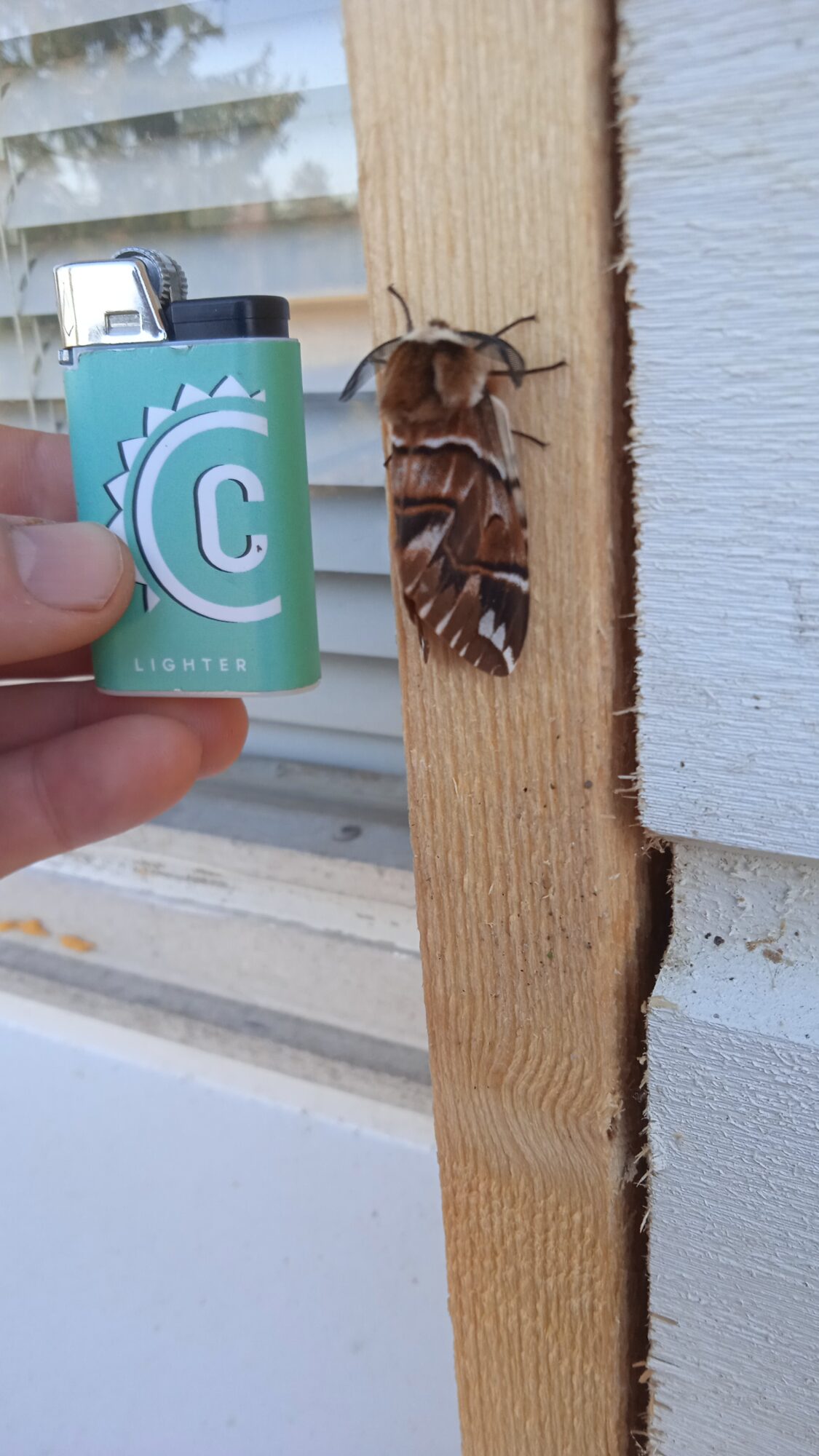 Valokuvaaja: En halua sanoa