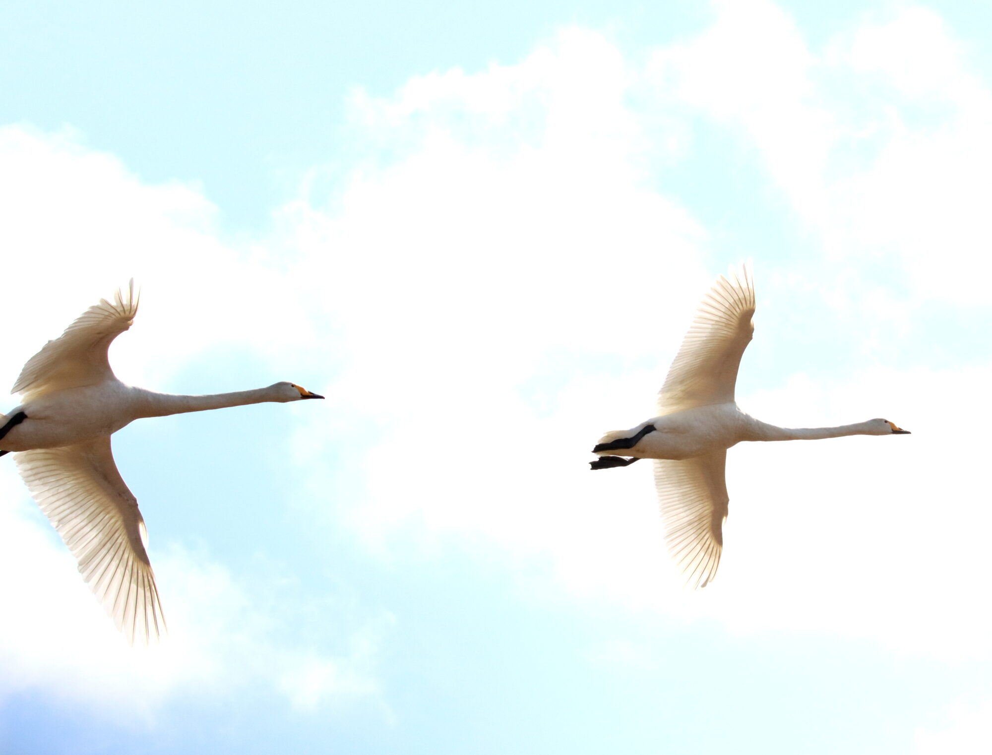 Valokuvaaja: Irja Lehtinen