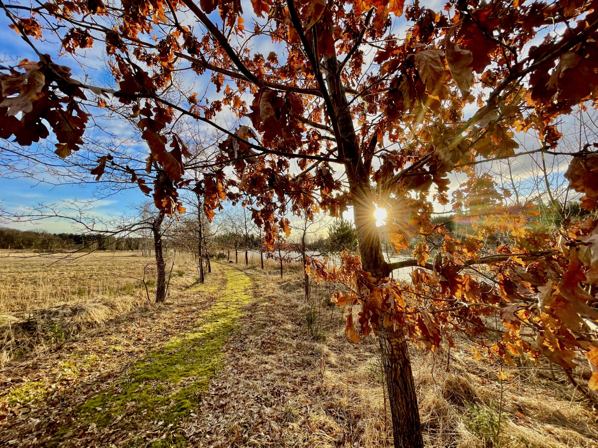 Valokuvaaja: Juhani Peltonen