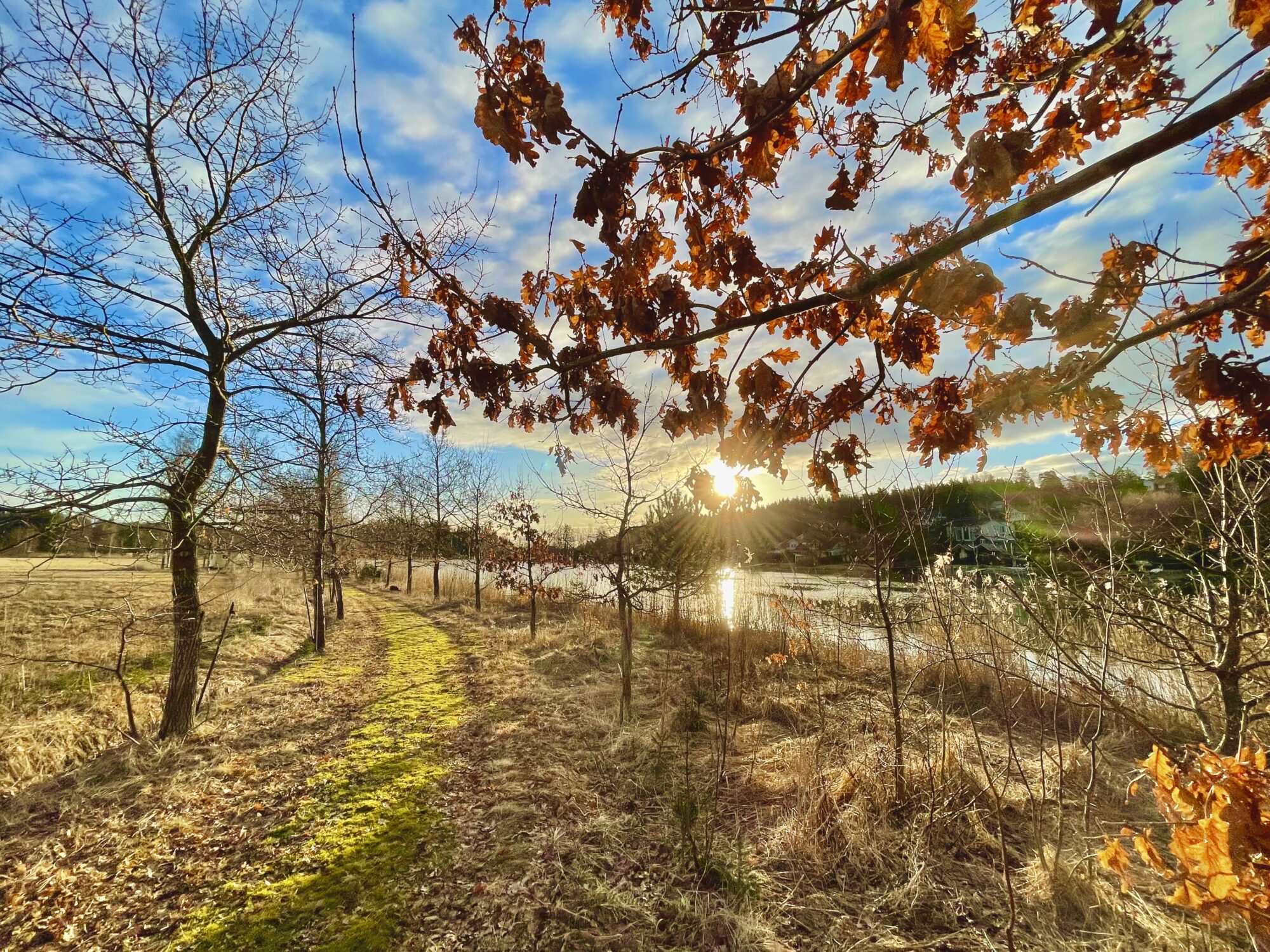 Valokuvaaja: Juhani Peltonen