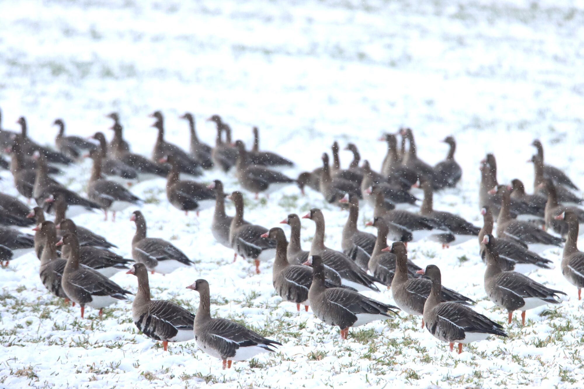 Valokuvaaja: Irja Lehtinen Valokuvaaja: Irja Lehtinen