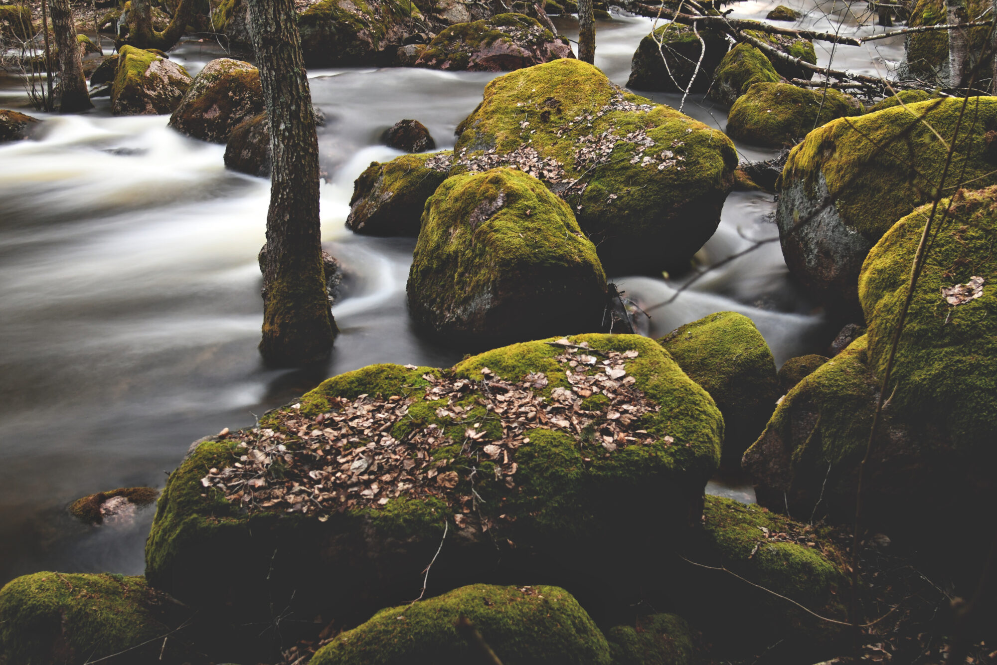 Valokuvaaja: Kati Kilpeläinen