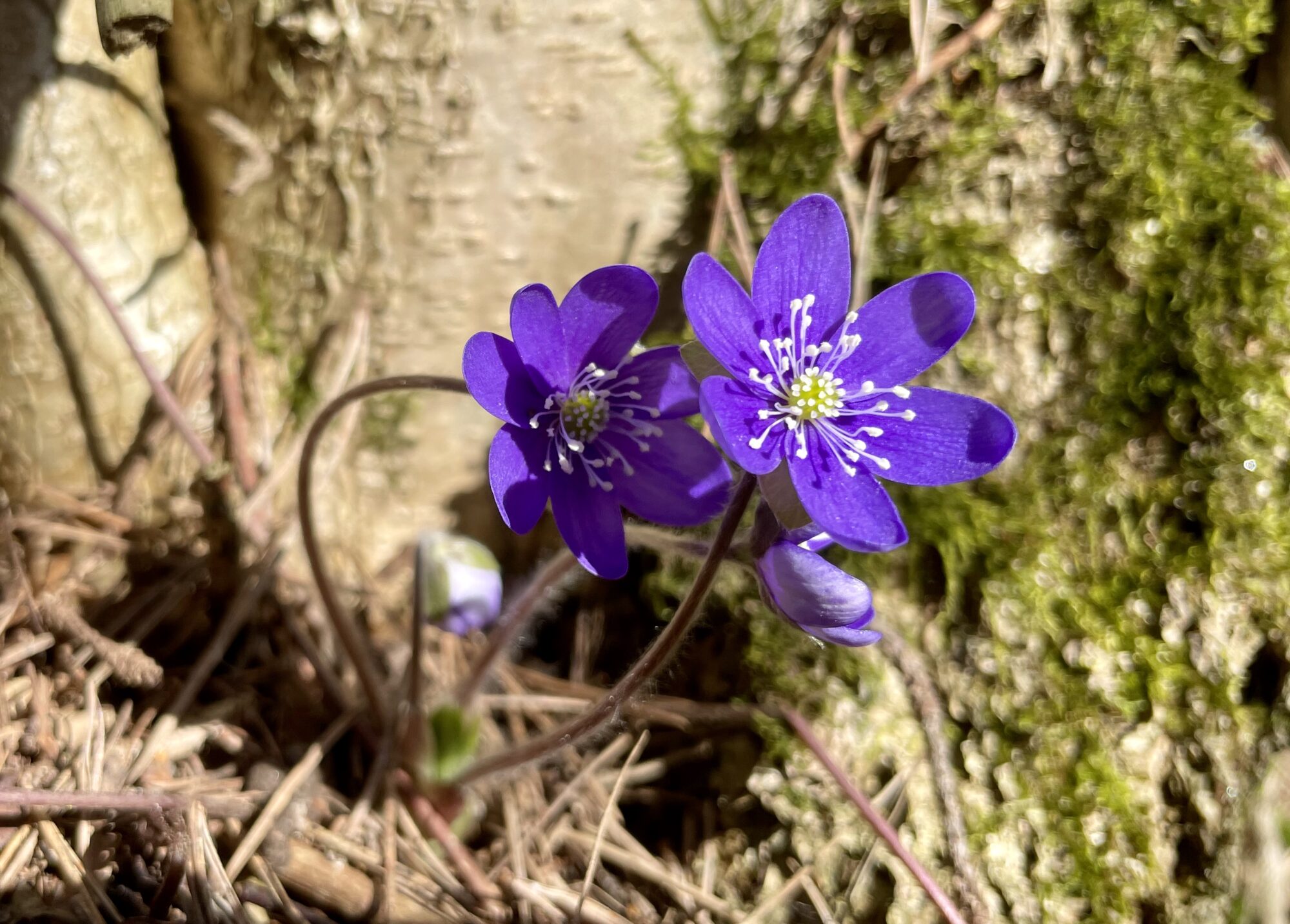 Valokuvaaja: Juhani Peltonen