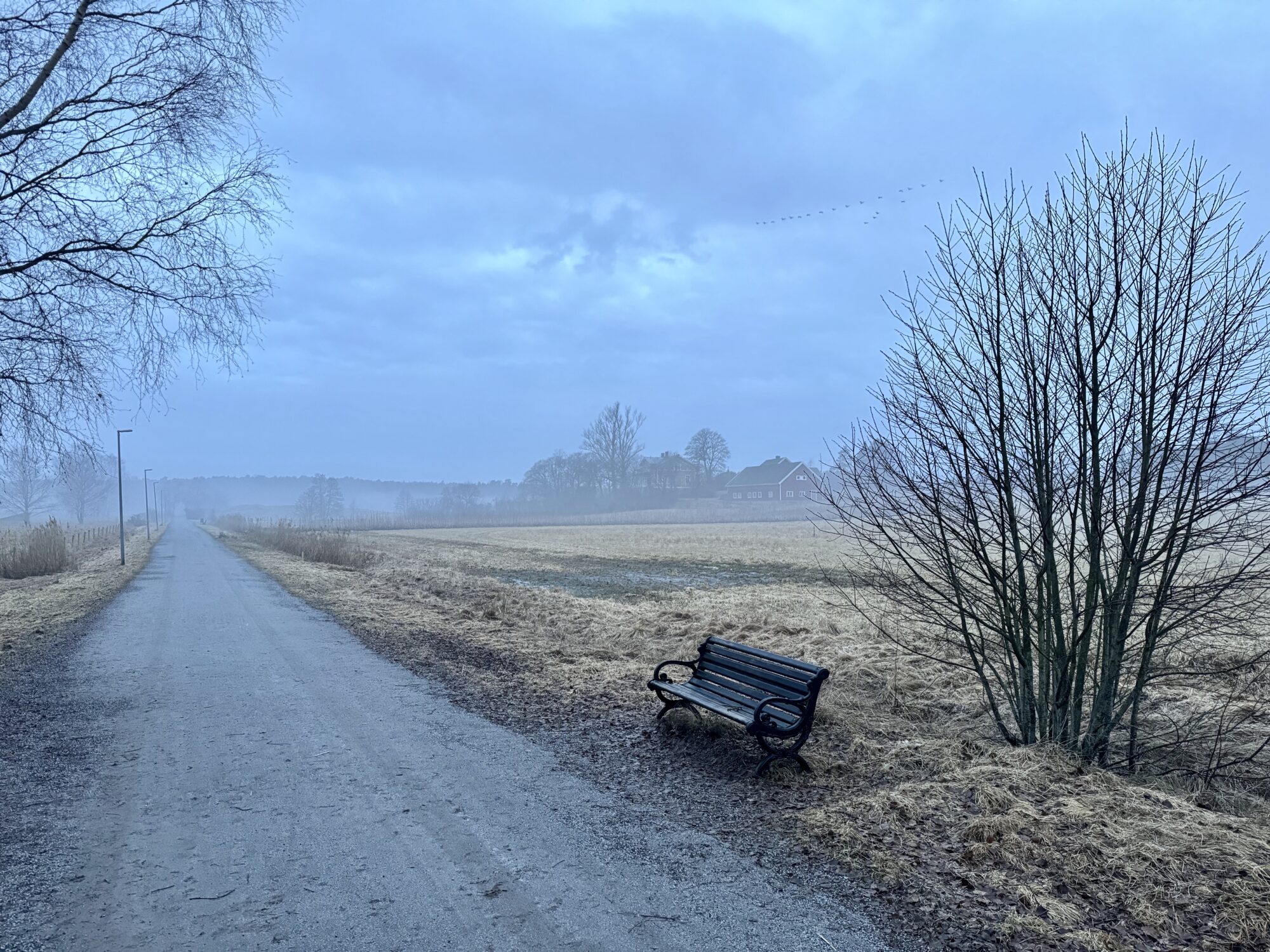 Valokuvaaja: Juhani Peltonen