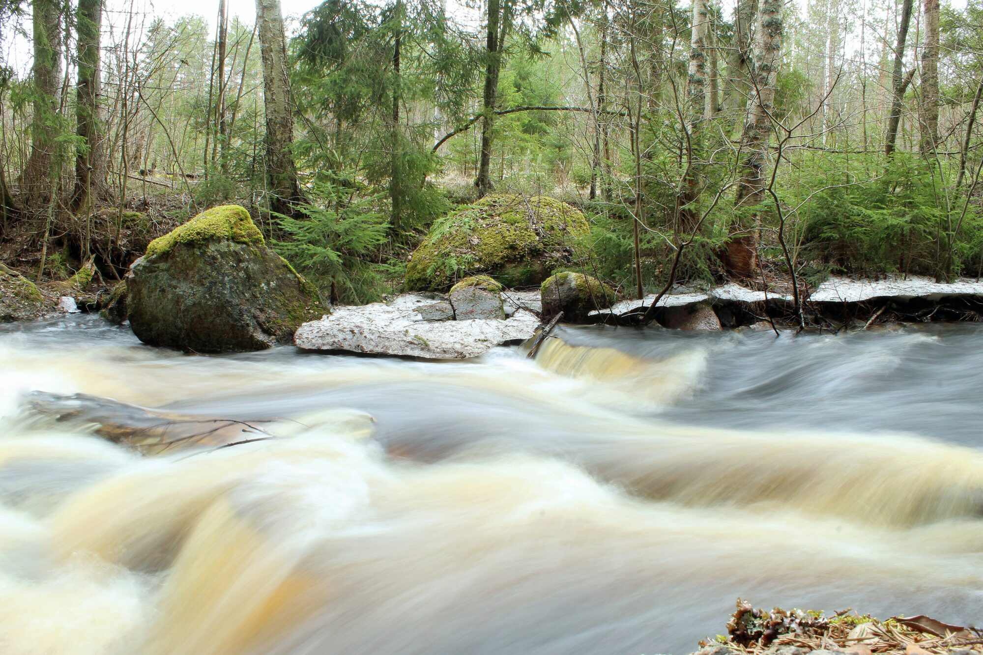 Valokuvaaja: Paula Savelius-Kontinen