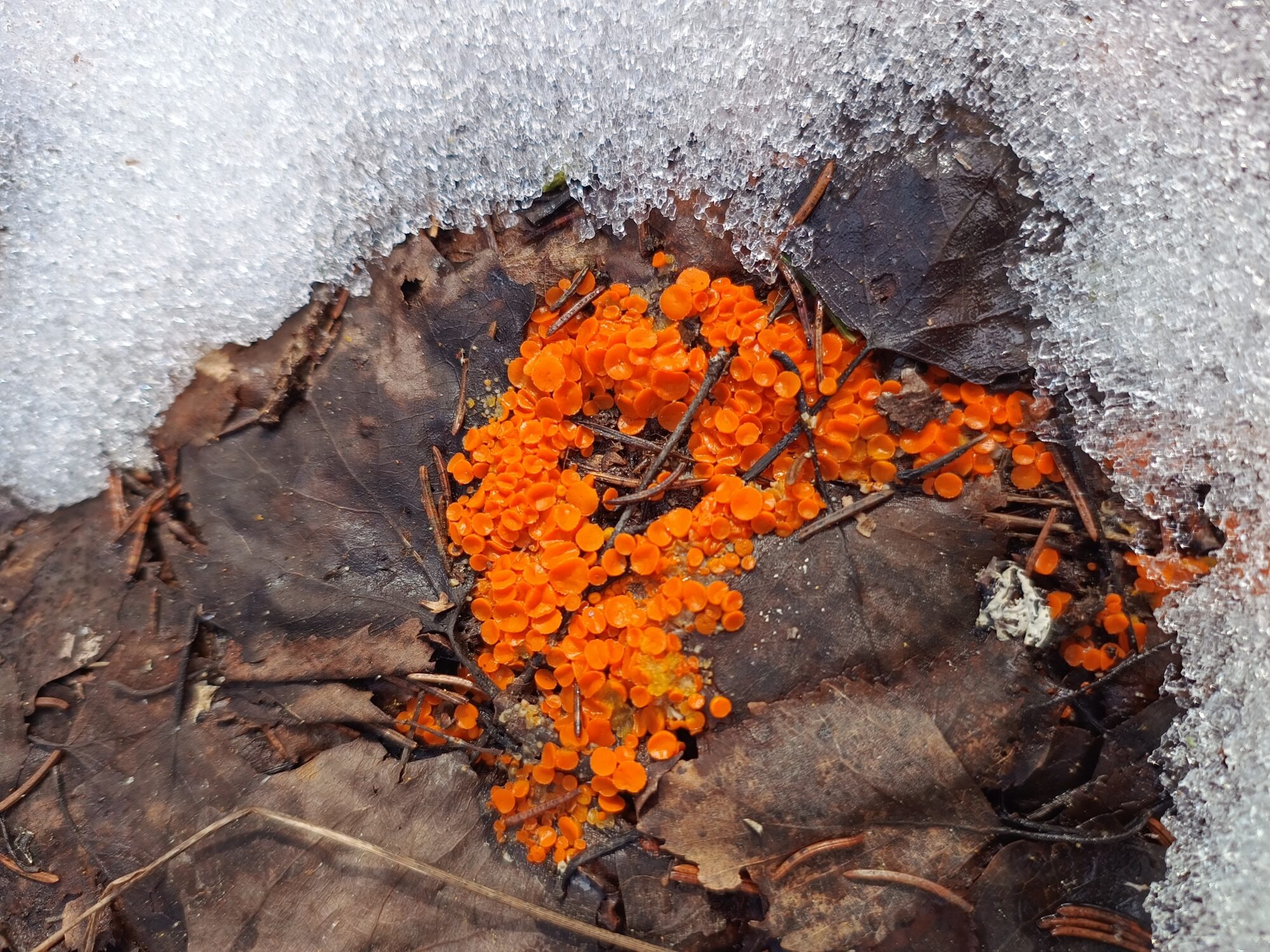 Valokuvaaja: Tiina Martiskainen