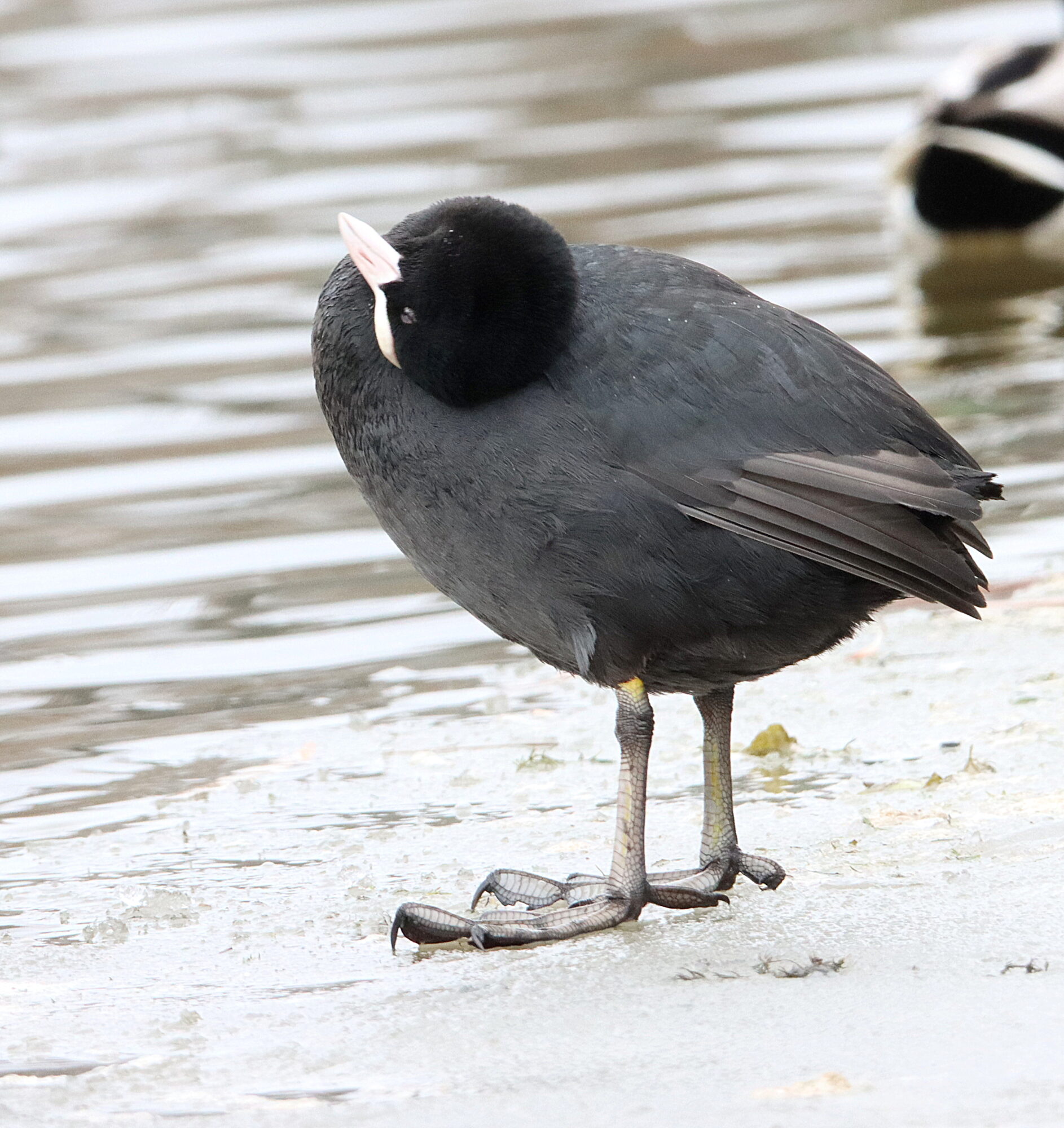 Valokuvaaja: Irja Lehtinen