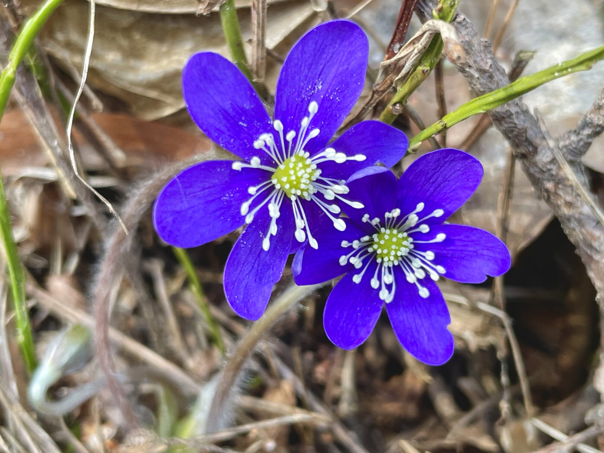 Valokuvaaja: Juhani Peltonen