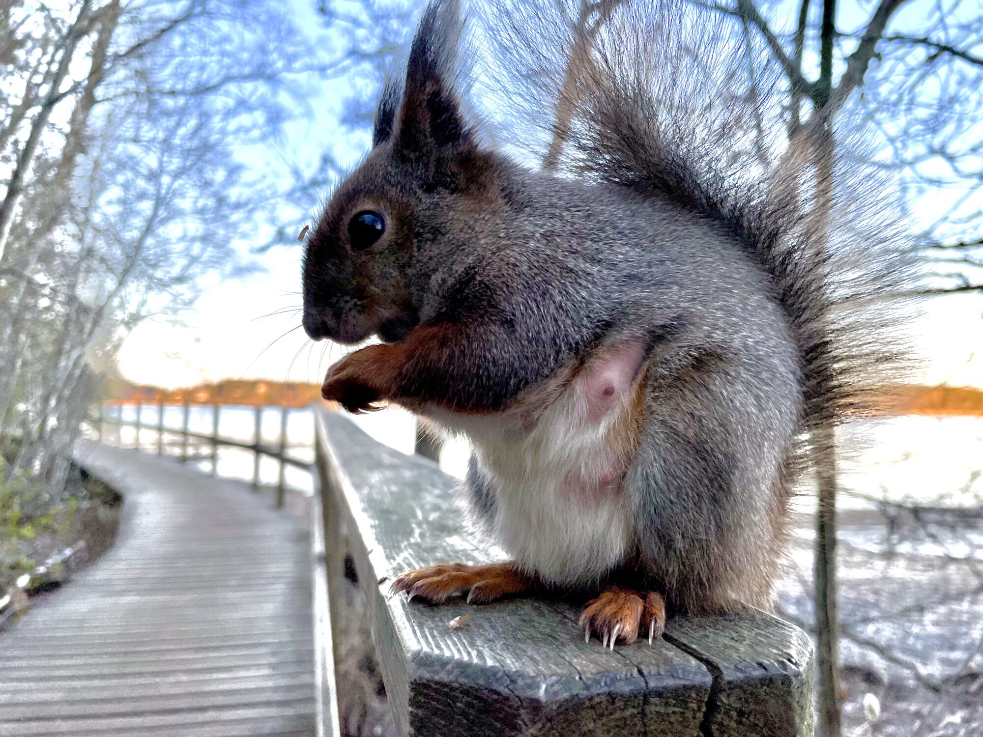 Valokuvaaja: Juhani Peltonen