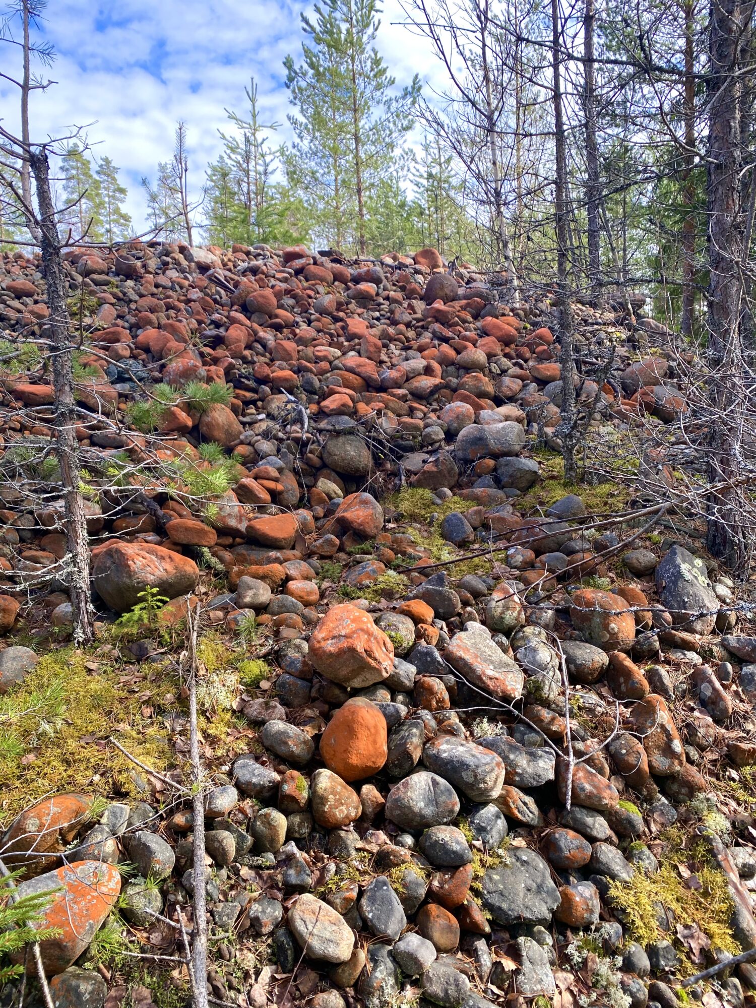 Valokuvaaja: Markku Ranta-Eilola Valokuvaaja: Markku Ranta-Eilola