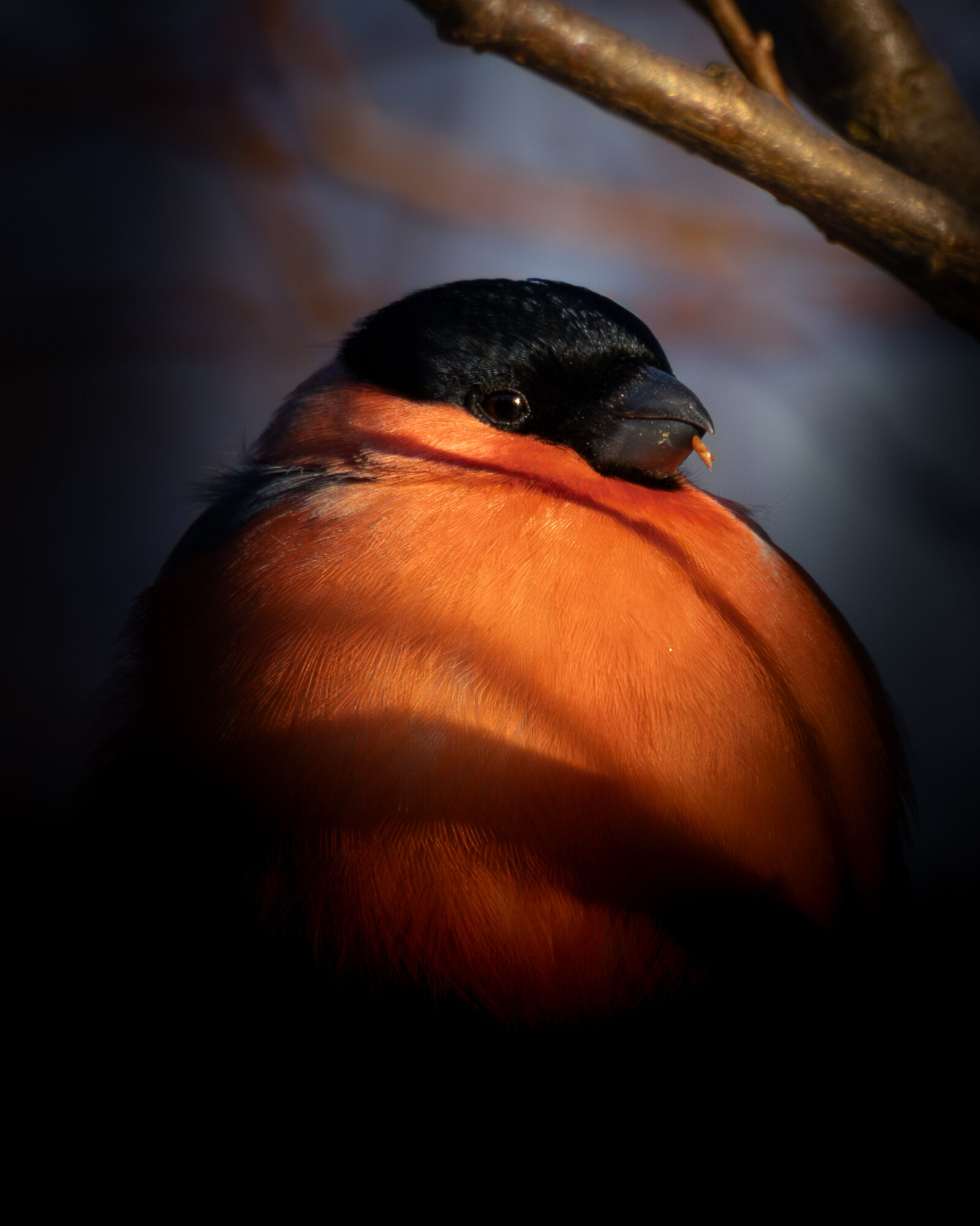Valokuvaaja: Leevi Halme