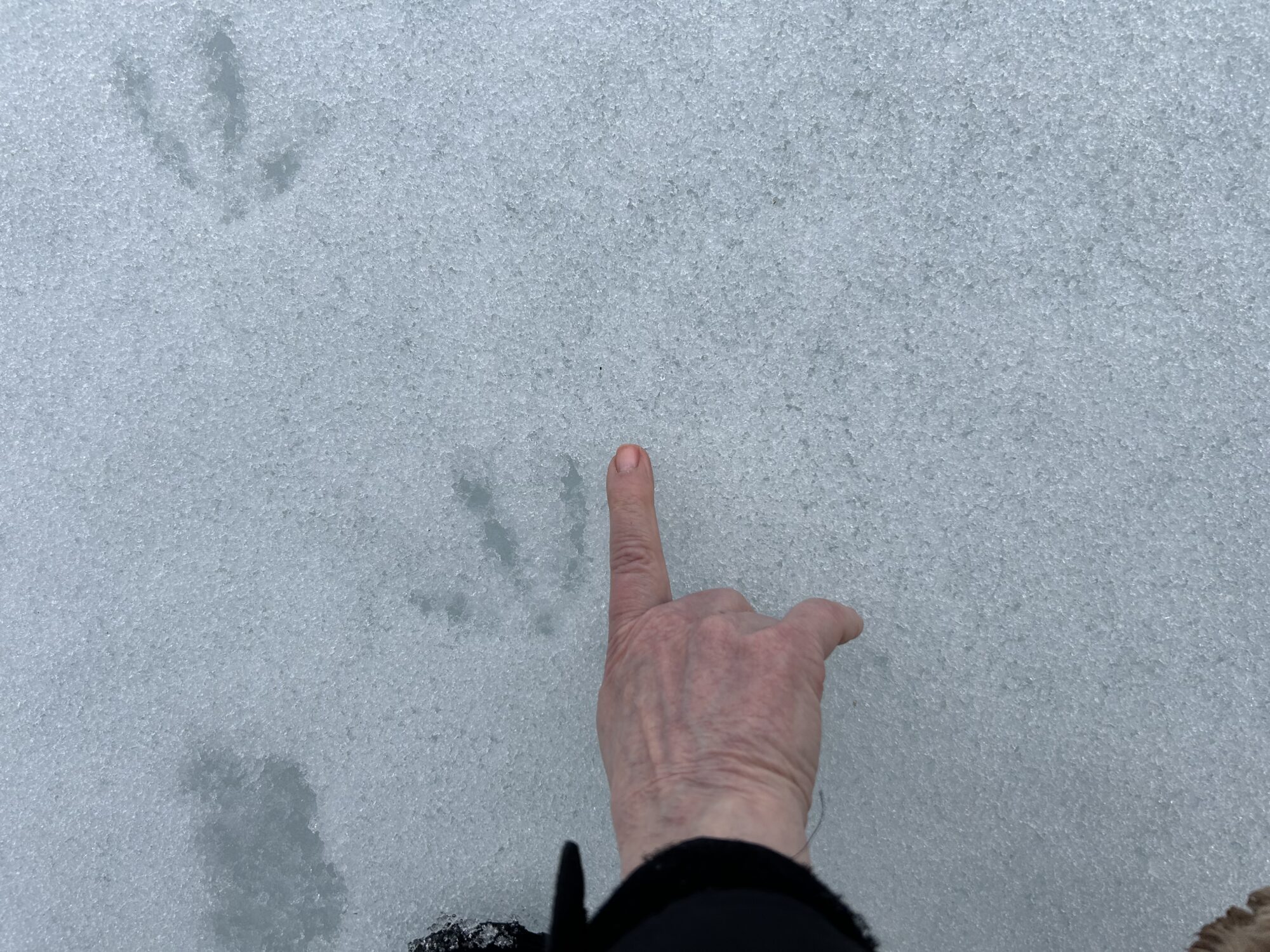 Valokuvaaja: Vesa Marttinen Valokuvaaja: Vesa Marttinen