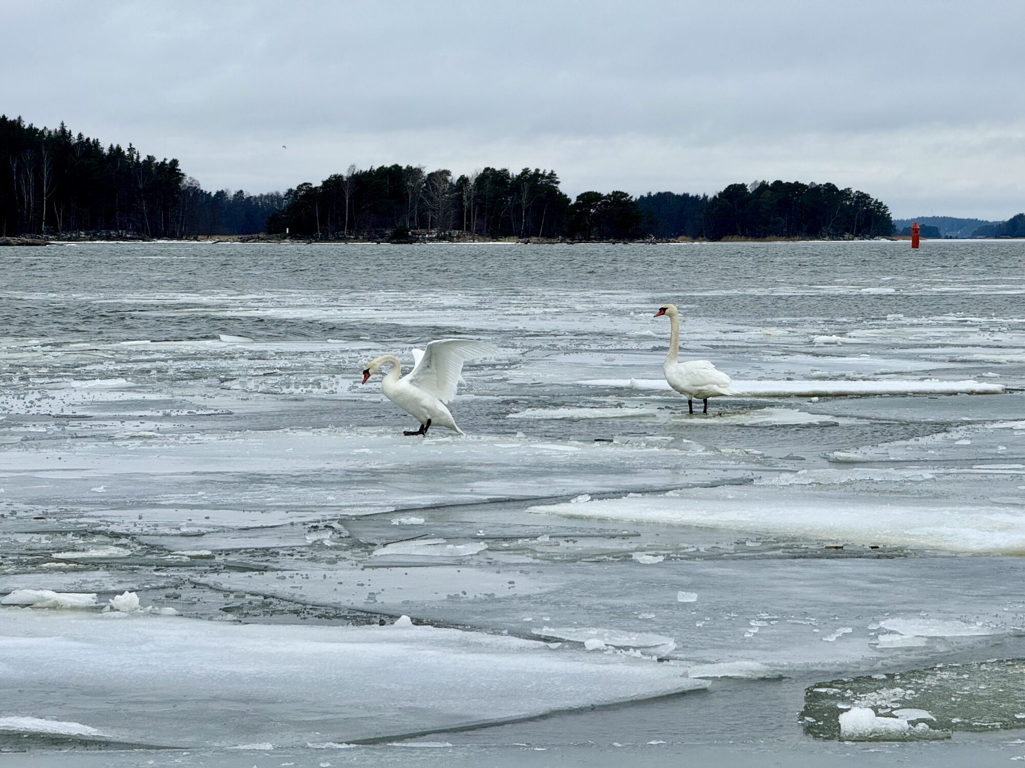 Valokuvaaja: Juhani Peltonen