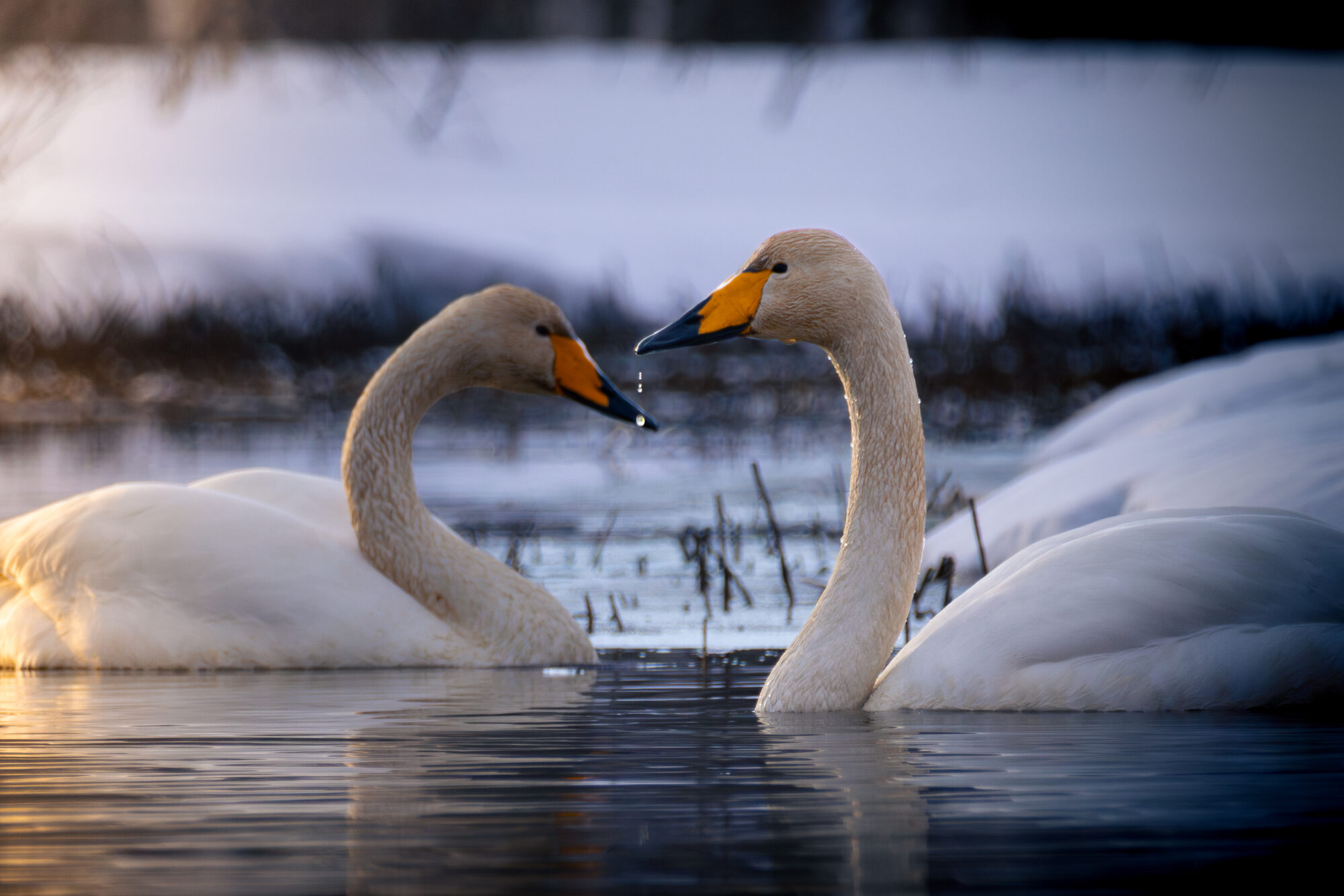 Valokuvaaja: Leevi Halme