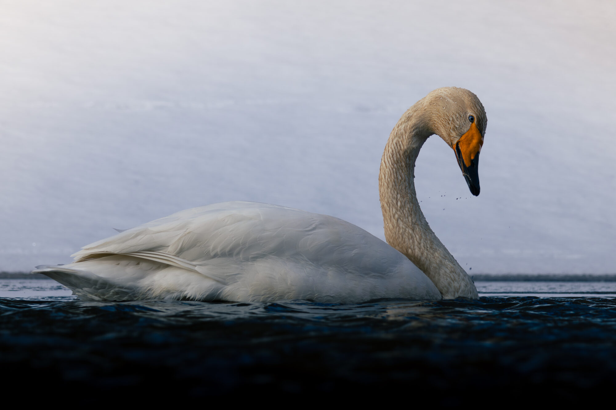 Valokuvaaja: Leevi Halme