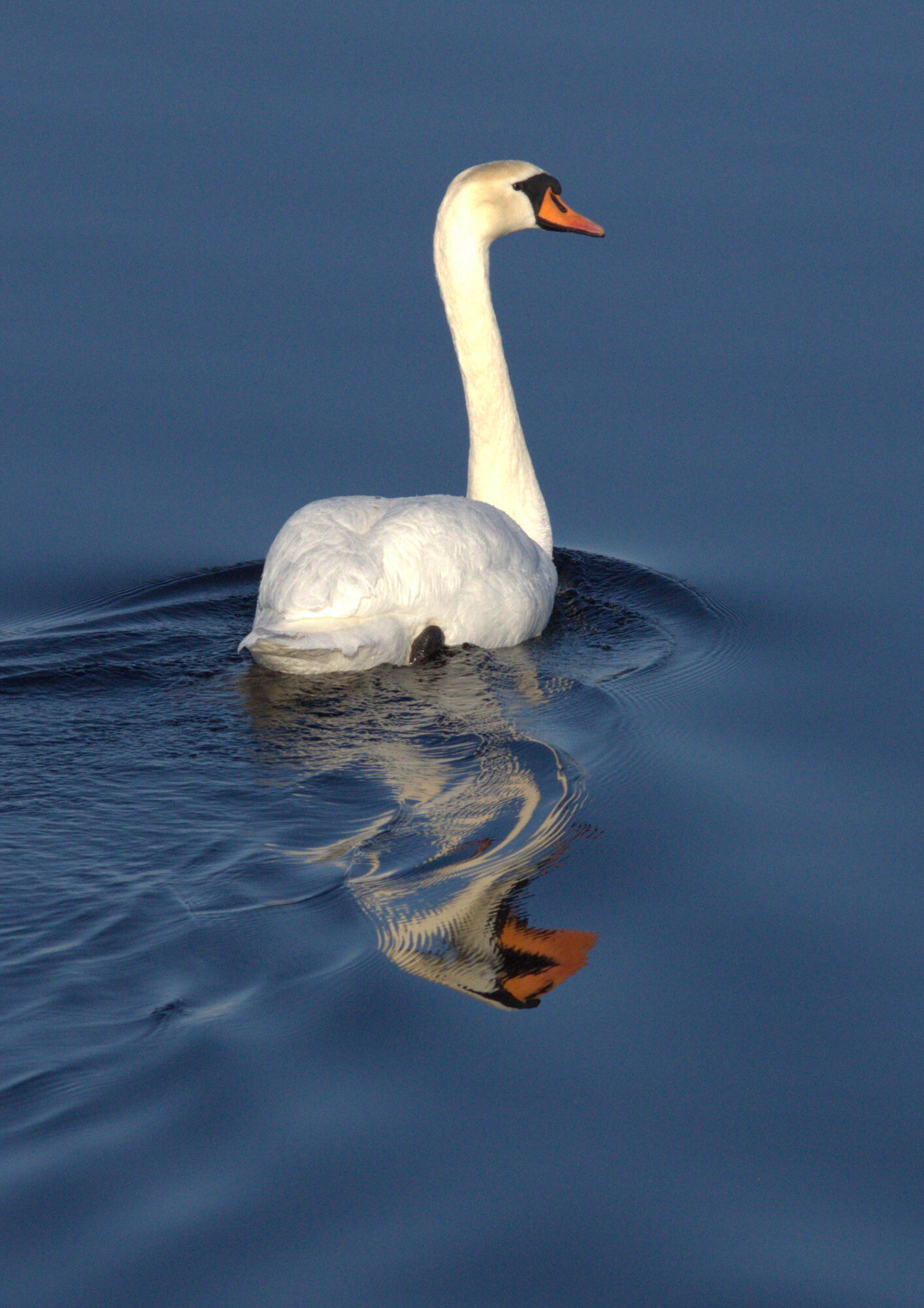Valokuvaaja: Tapio Keinonen