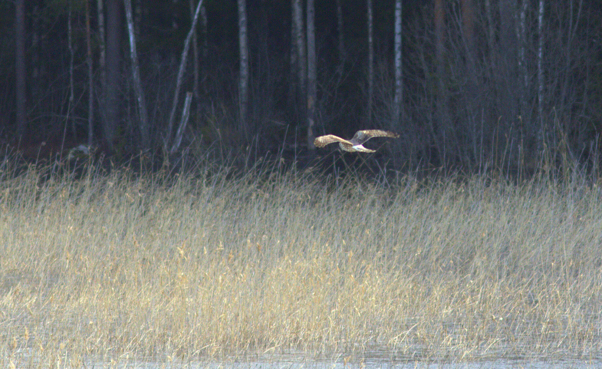 Valokuvaaja: Tapio Keinonen