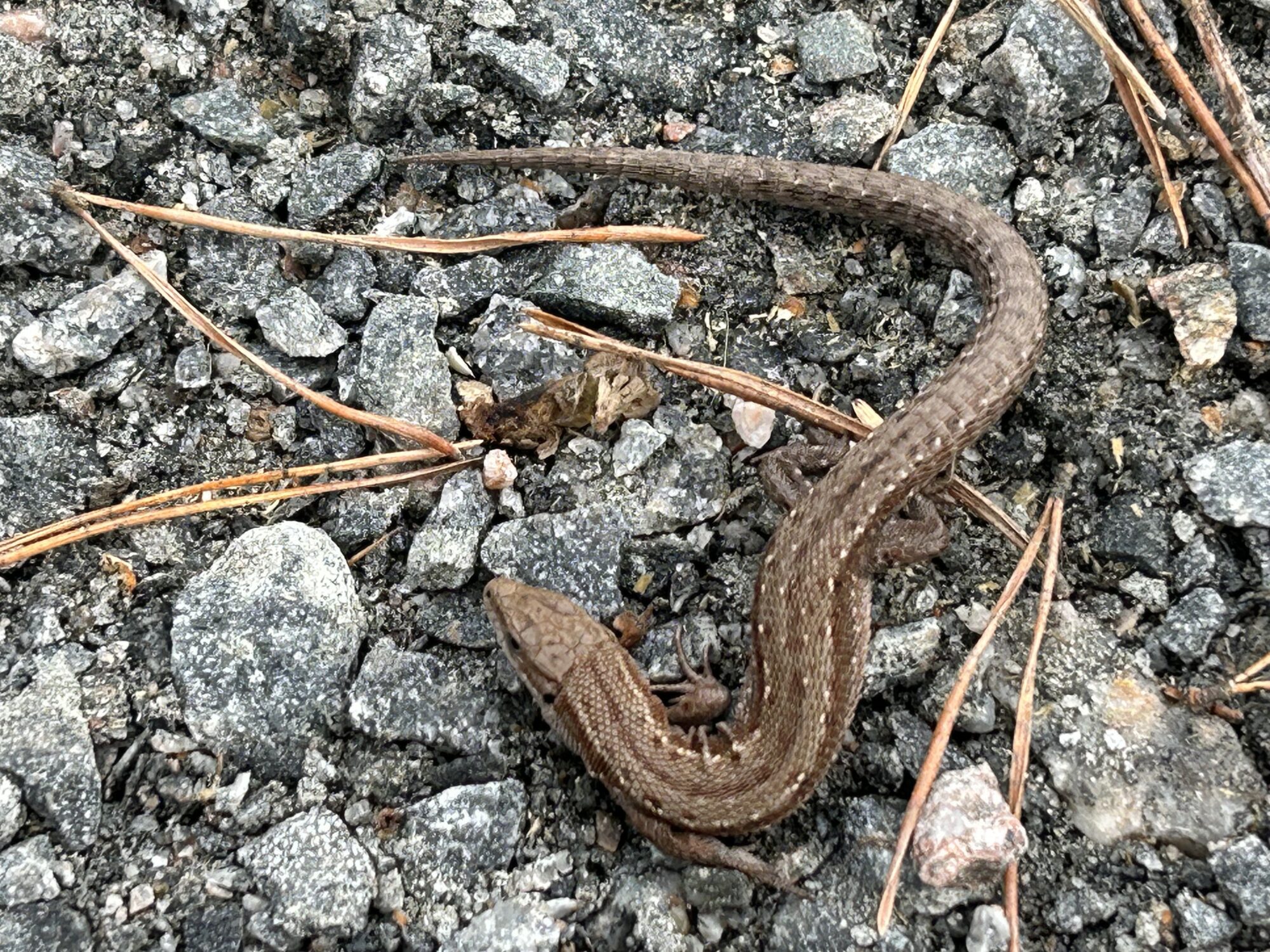 Valokuvaaja: Tapio Keinonen