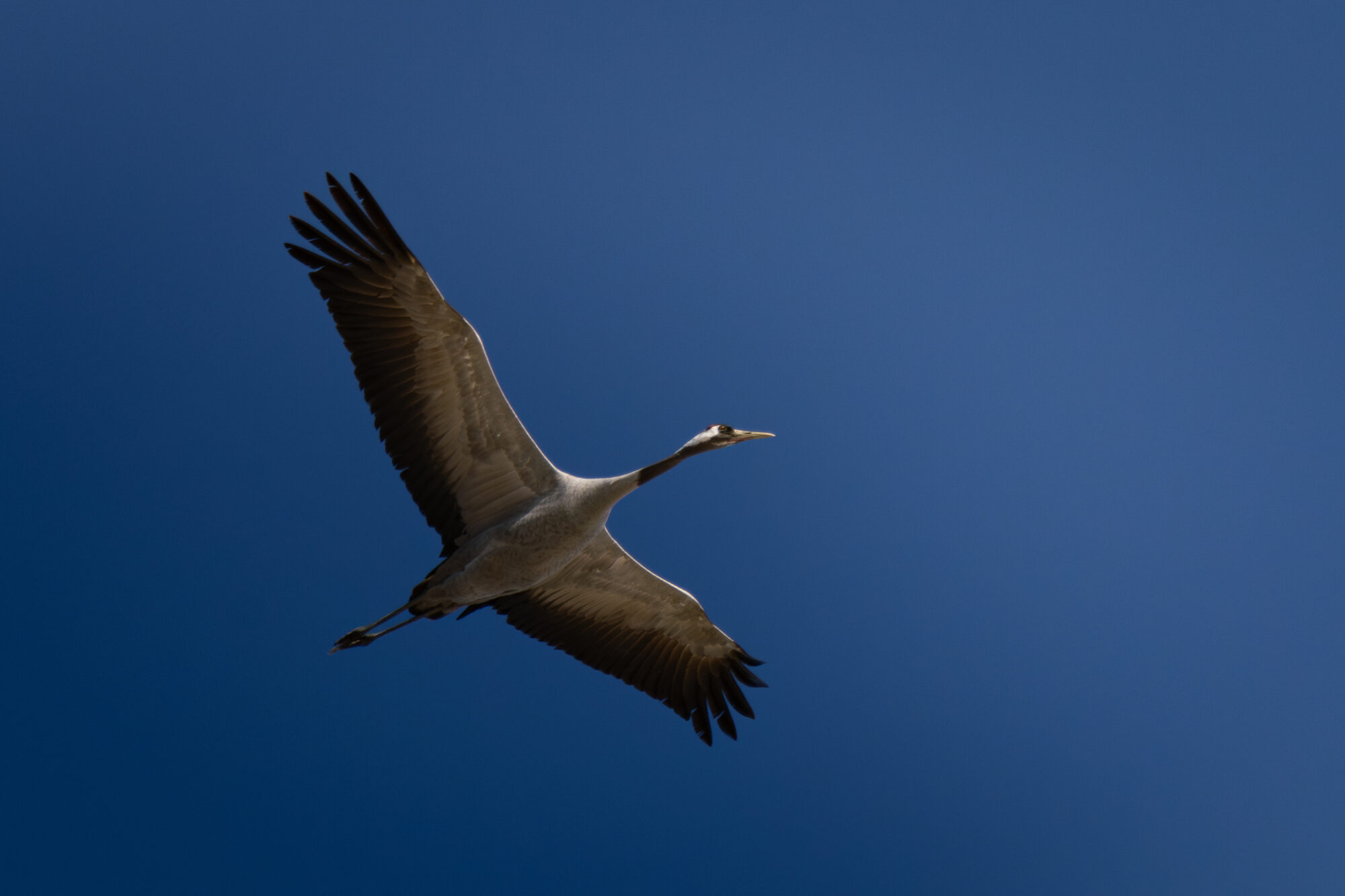 Valokuvaaja: Leevi Halme