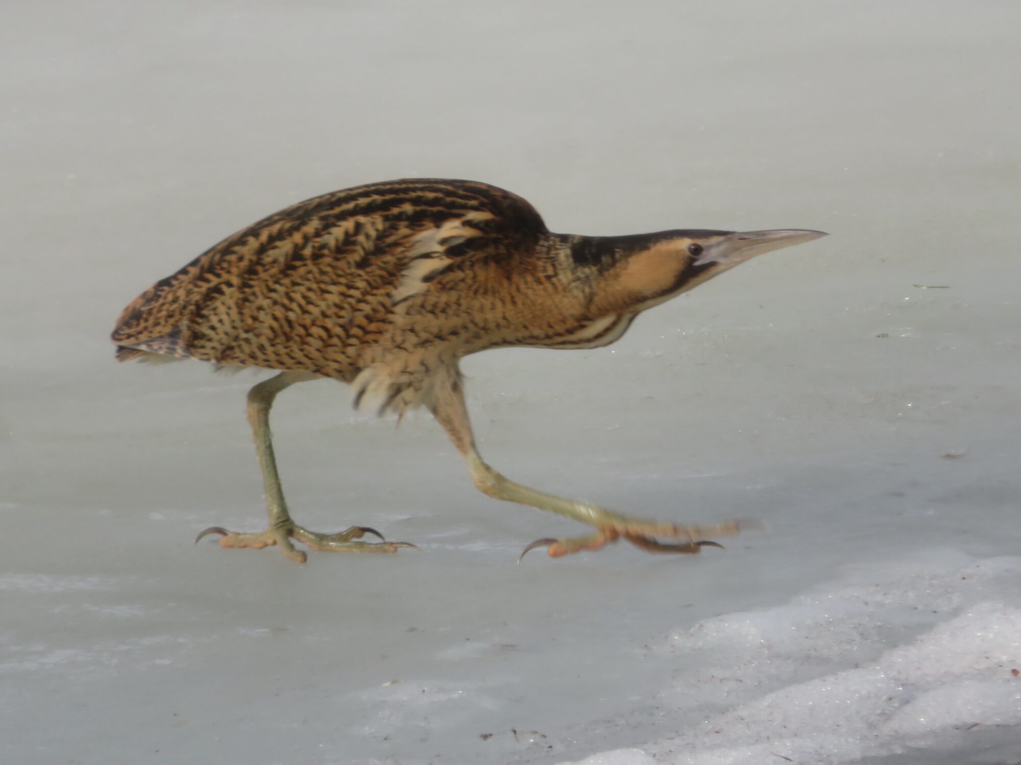 Valokuvaaja: Anja Santalahti