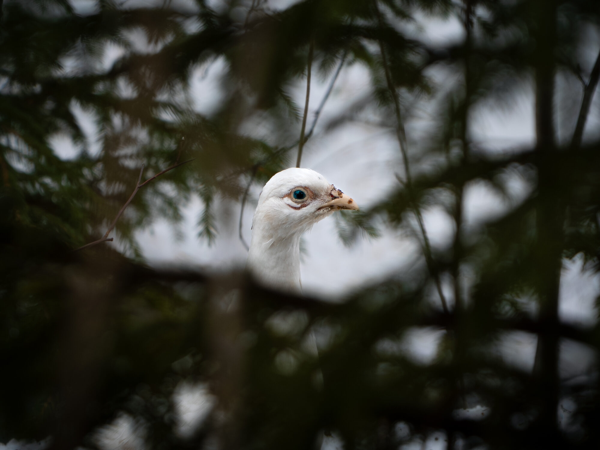 Valokuvaaja: Leevi Halme