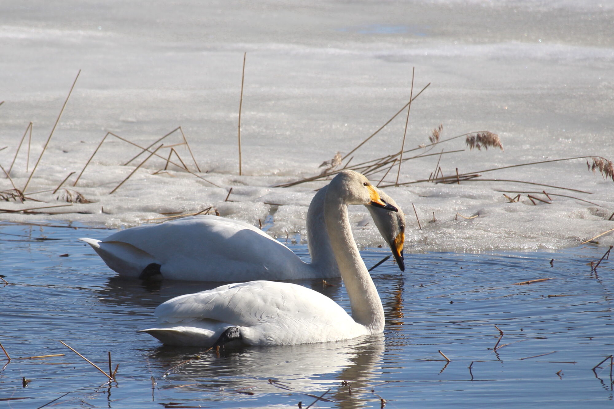 Valokuvaaja: Kirsi-Marja Joenpolvi