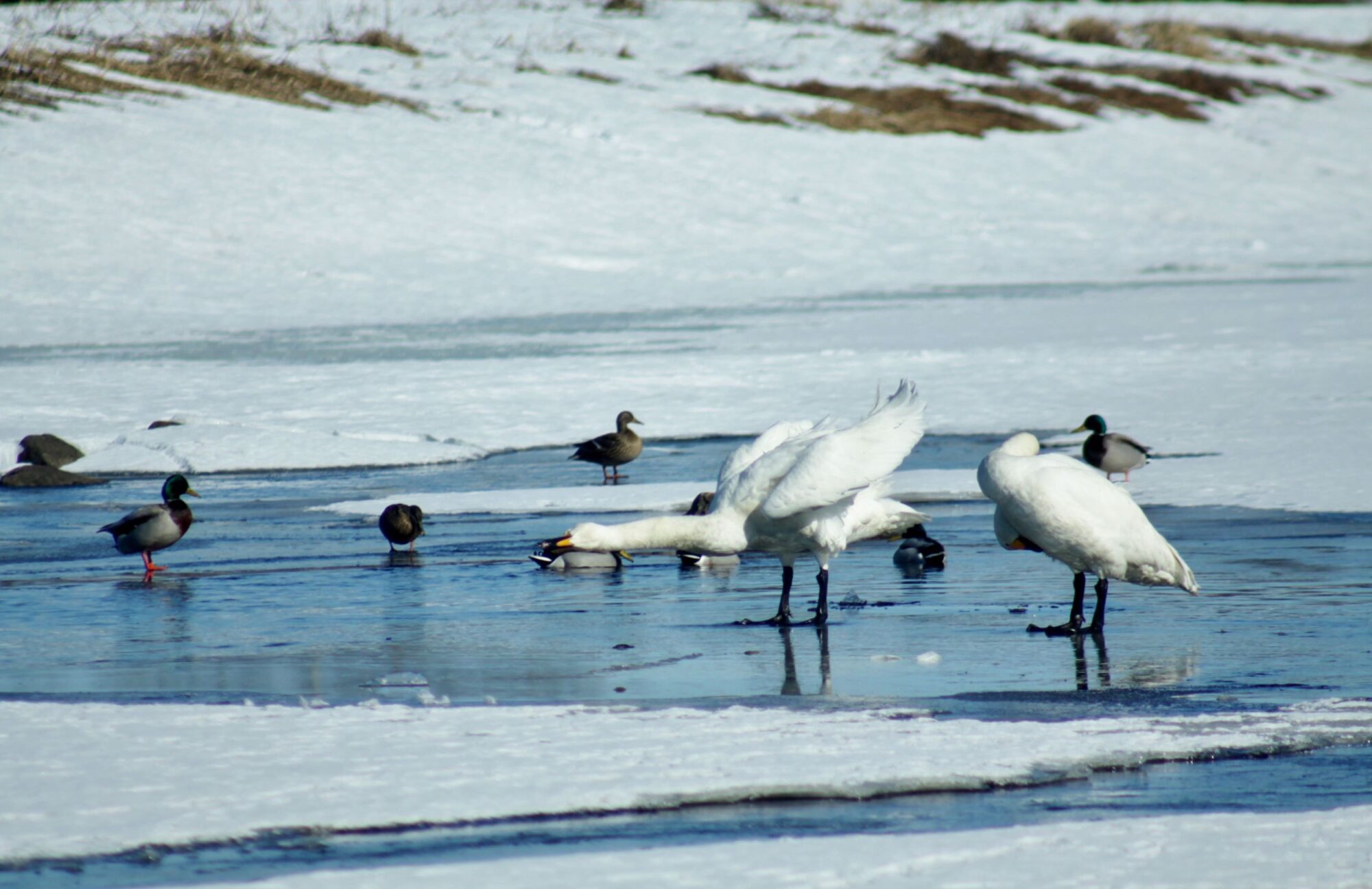 Valokuvaaja: Pirkko Siukonen