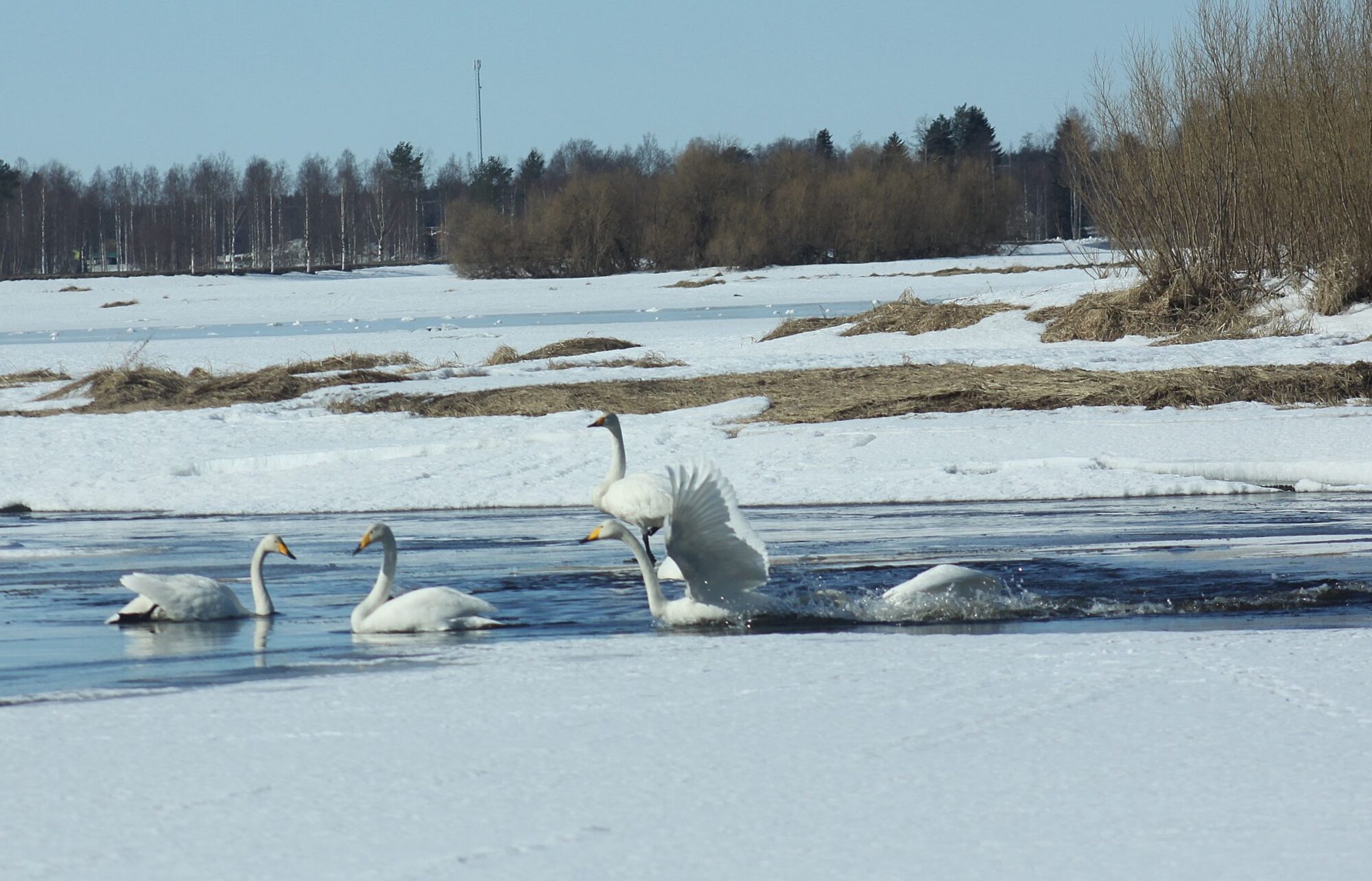 Valokuvaaja: Pirkko Siukonen