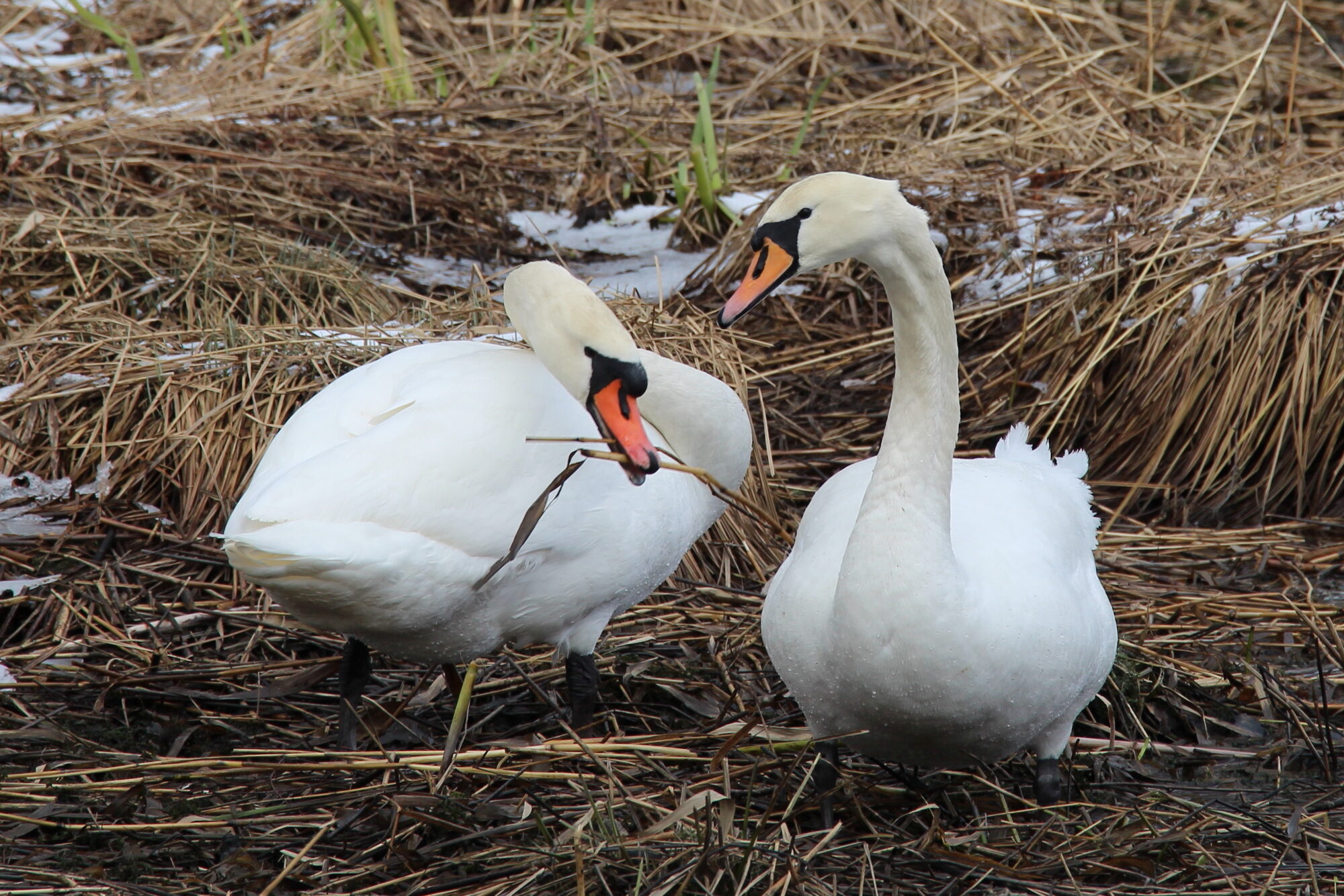 Valokuvaaja: Kirsi-Marja Joenpolvi