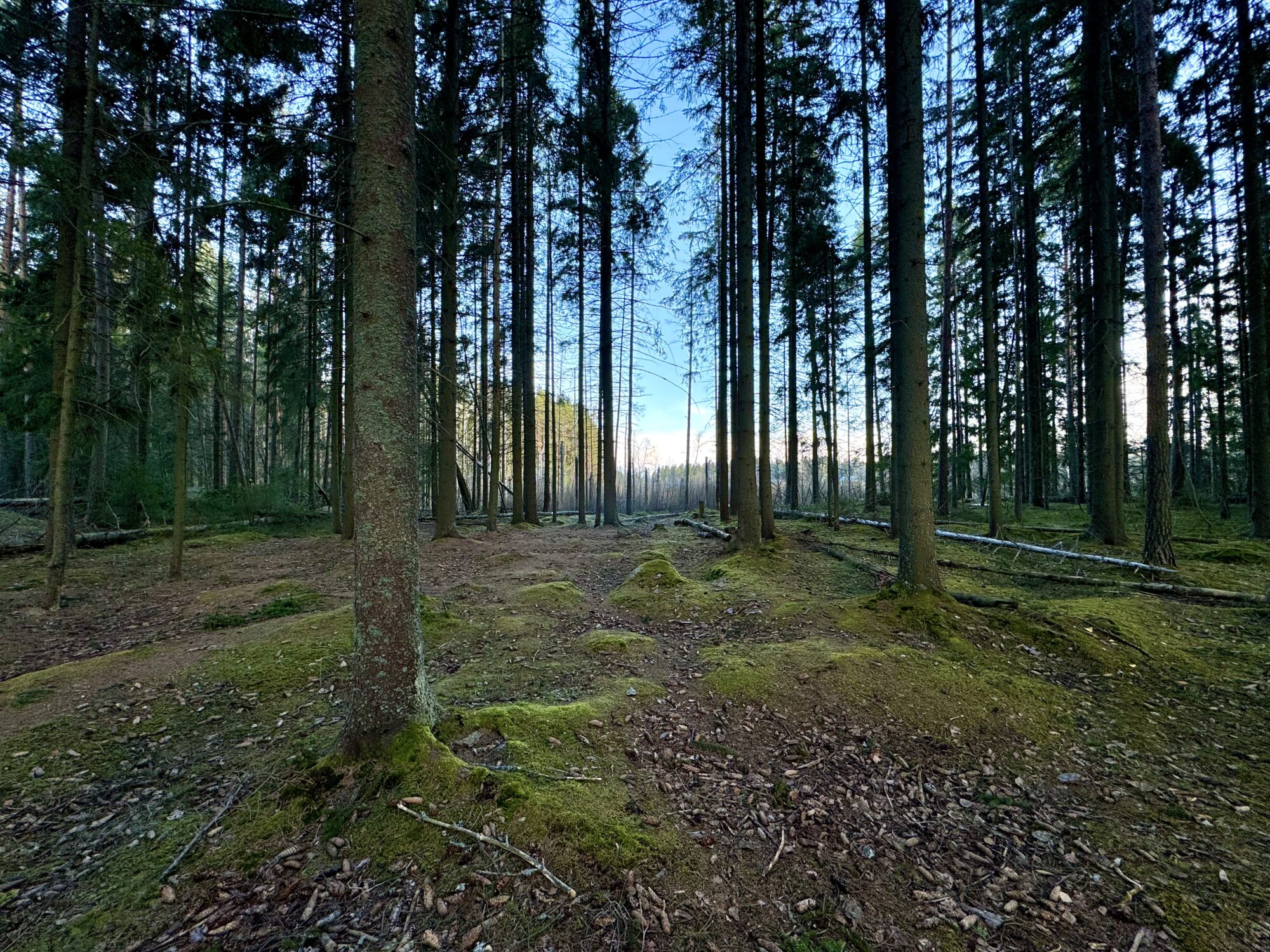 Valokuvaaja: Juhani Peltonen