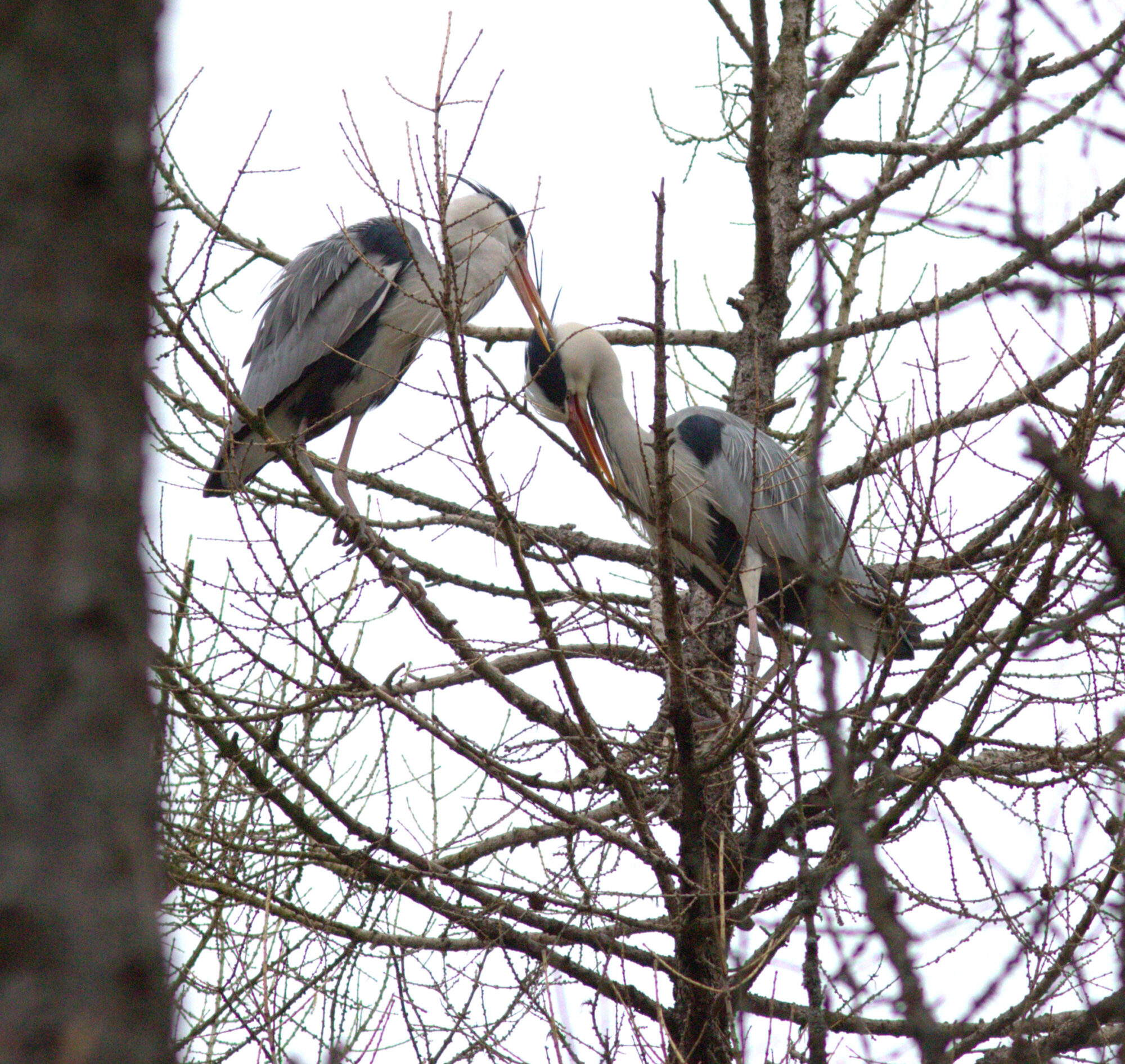 Valokuvaaja: Tapio Keinonen