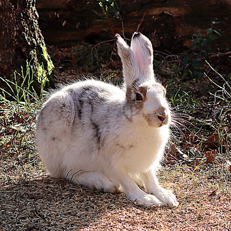 Valokuvaaja: Hannu Rasiranta