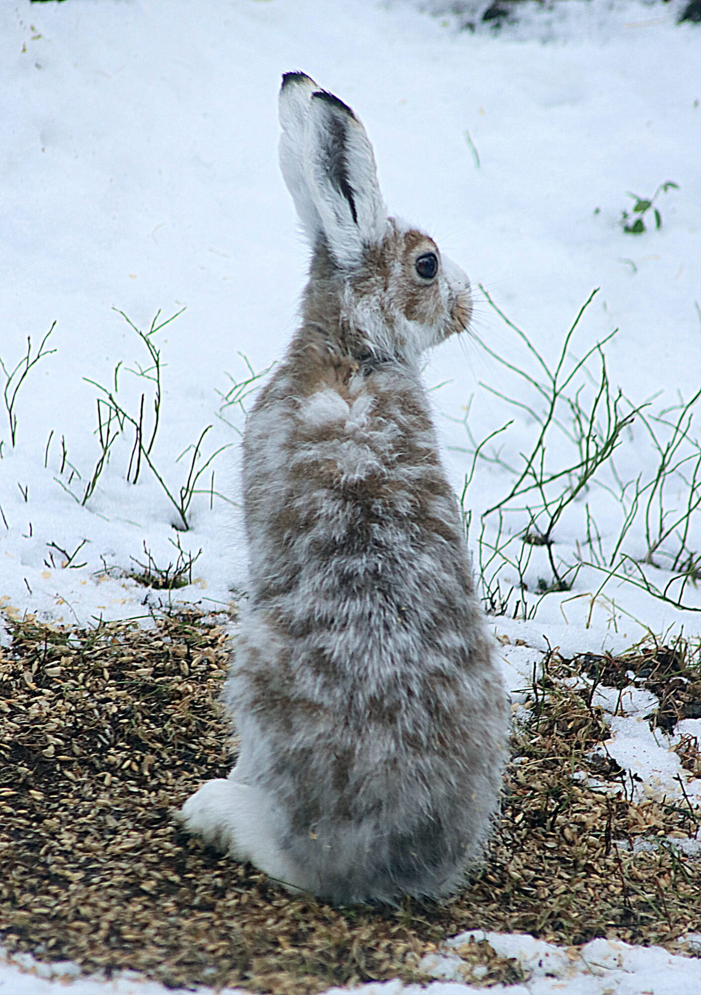Valokuvaaja: Hannu Rasiranta