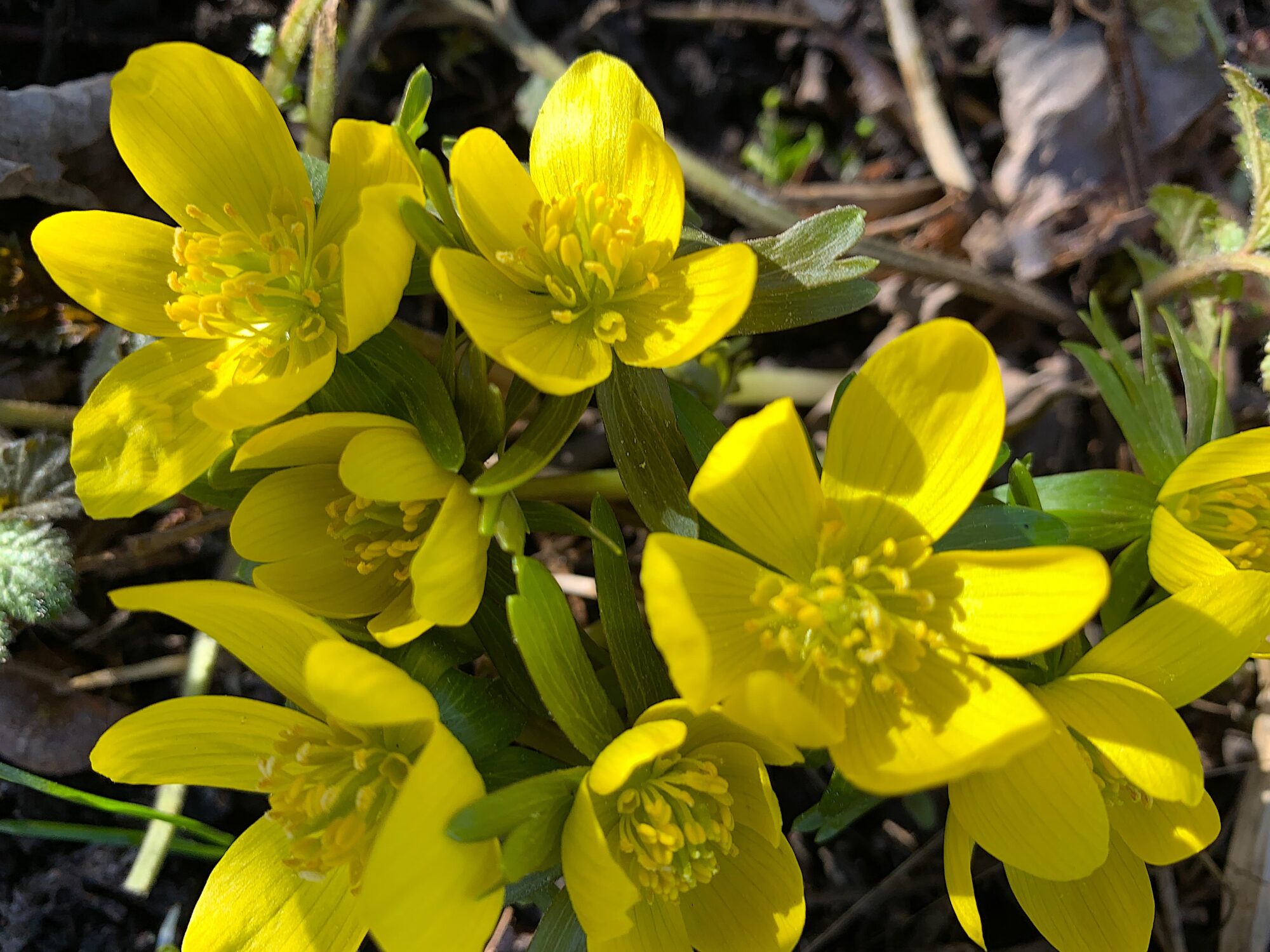 Valokuvaaja: Marjut Ikonen Valokuvaaja: Marjut Ikonen