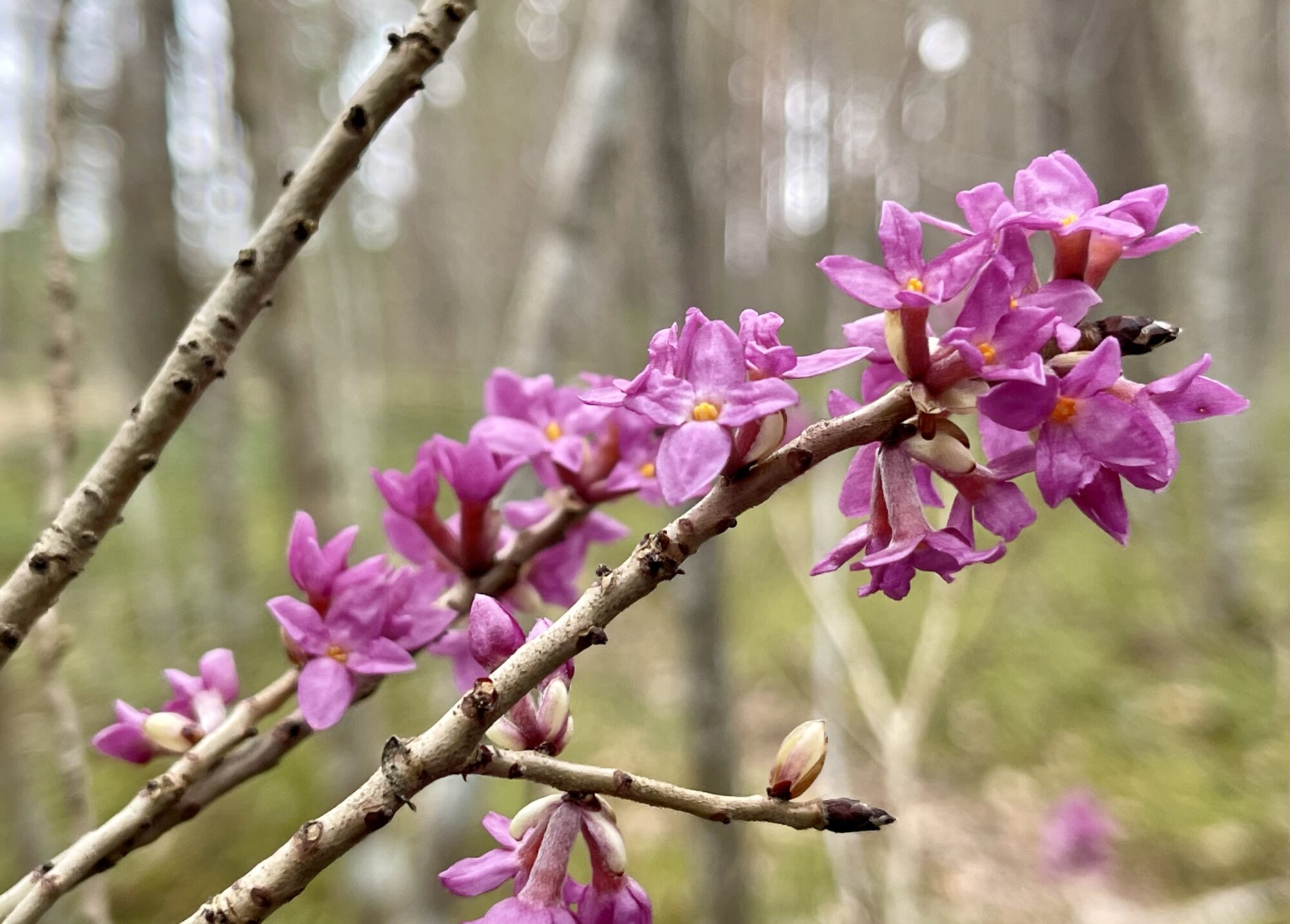 Valokuvaaja: Liisa Niiva-Korpela