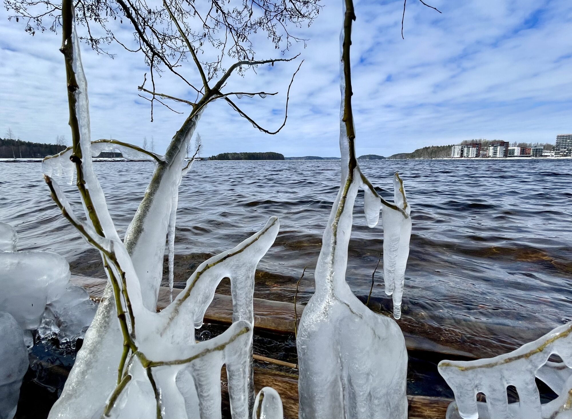 Valokuvaaja: Liisa Niiva-Korpela