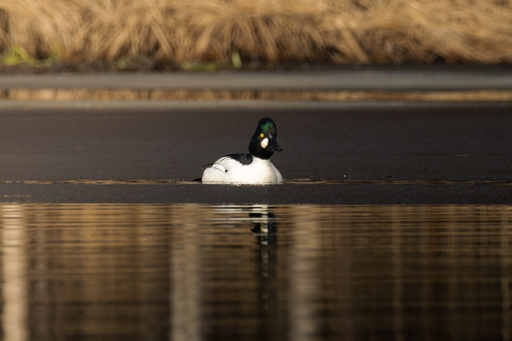 Valokuvaaja: Leevi Halme