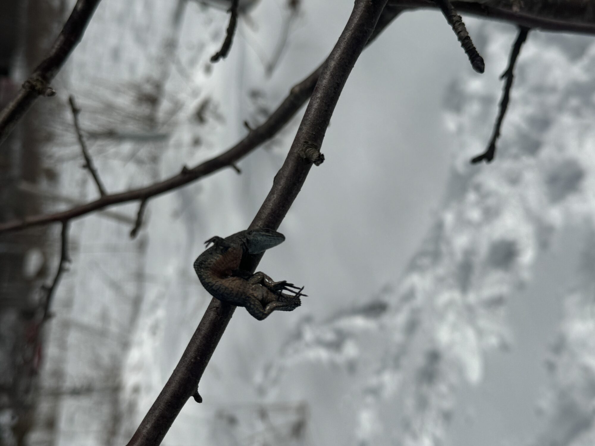 Valokuvaaja: Kari Härkönen