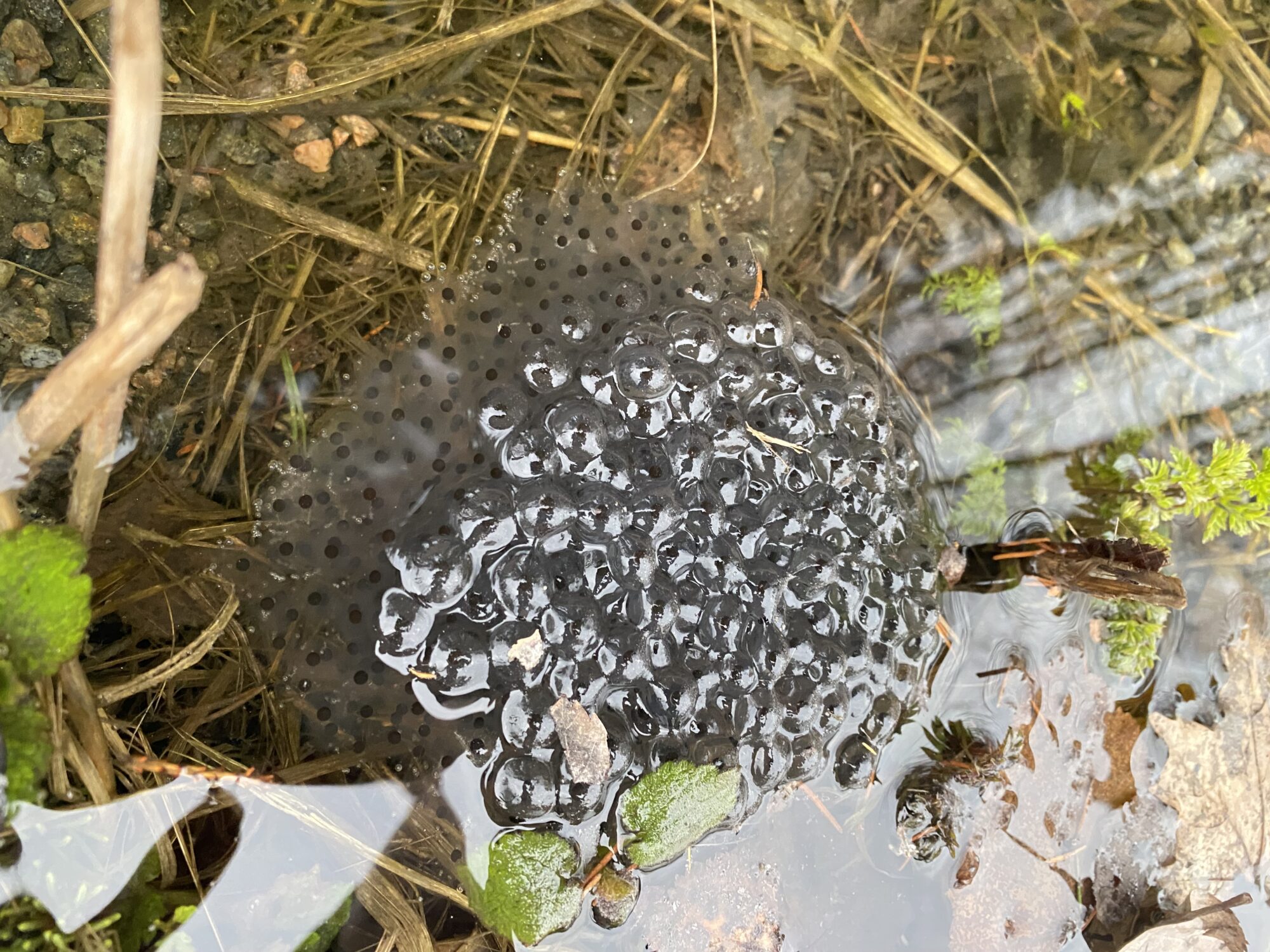 Valokuvaaja: Tiia Haak