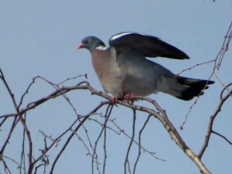 Valokuvaaja: Risto Kangassalo