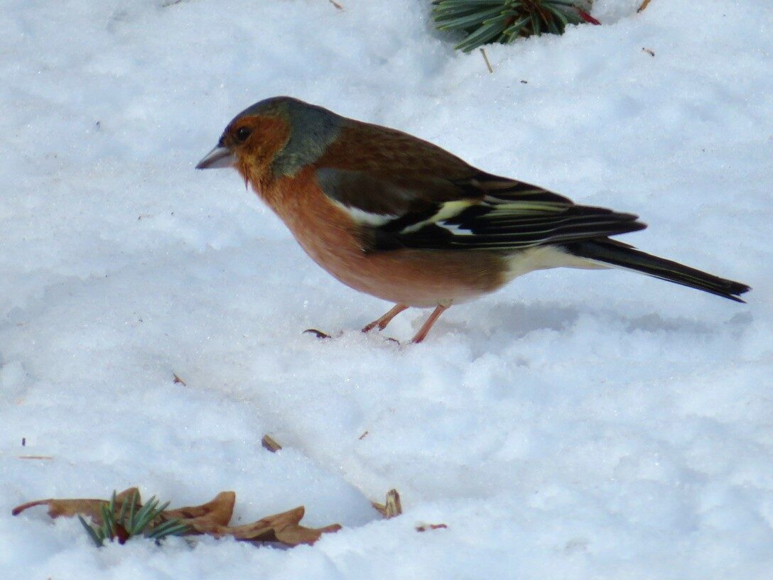 Valokuvaaja: Risto Kangassalo