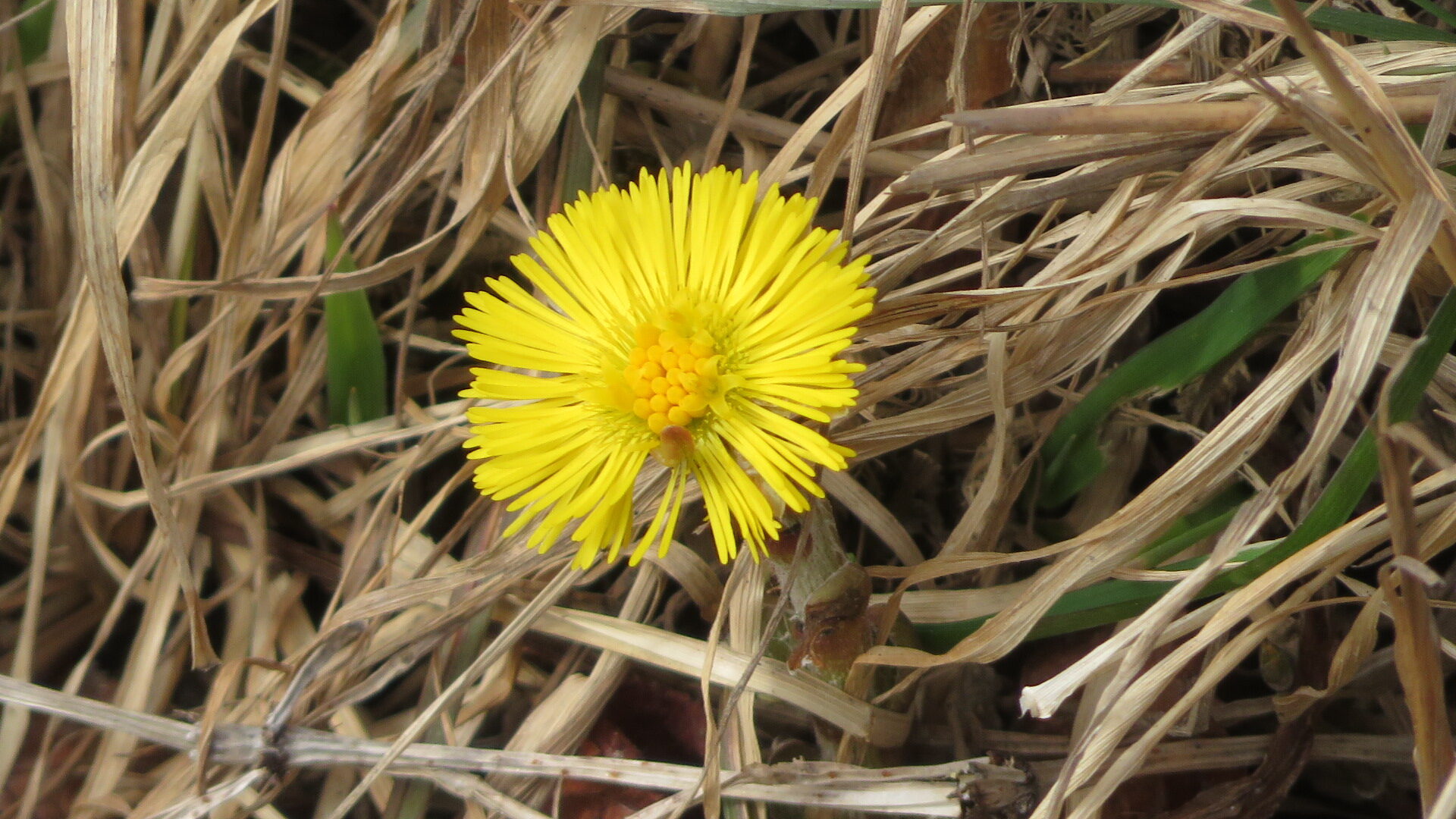 Valokuvaaja: Risto Kangassalo