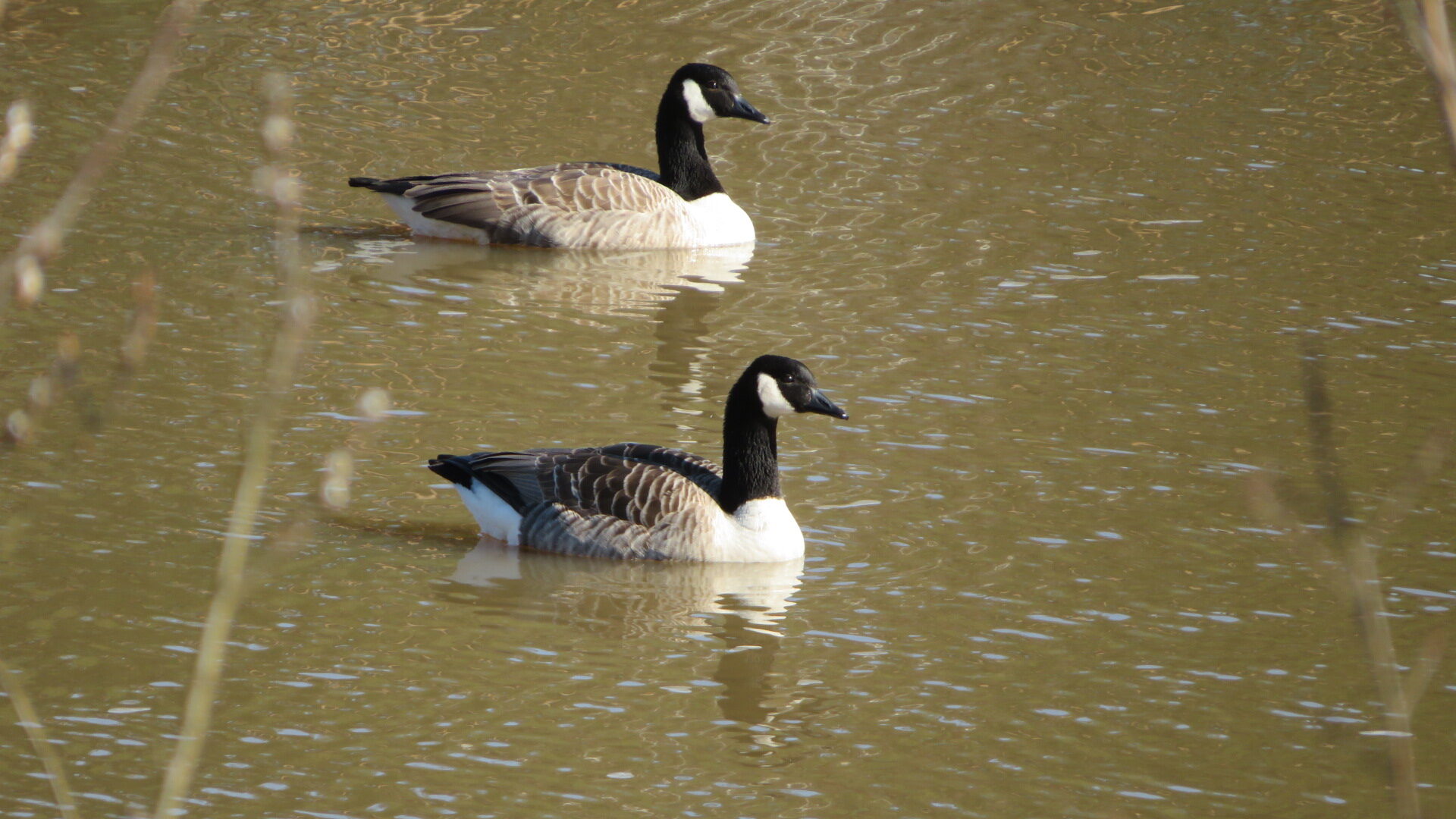 Valokuvaaja: Risto Kangassalo